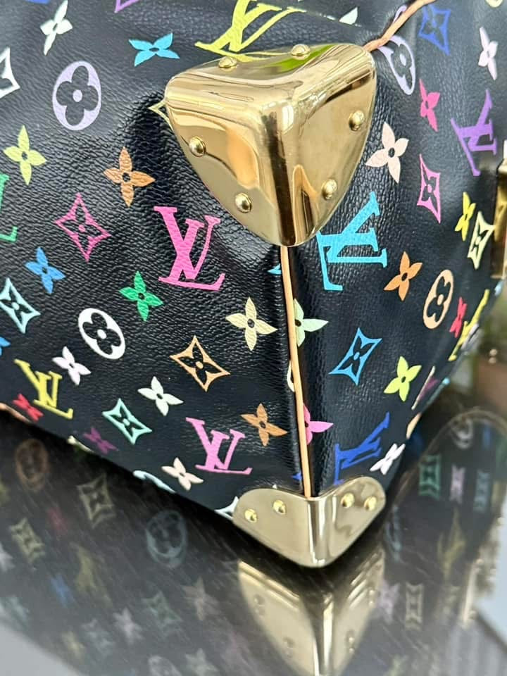 Multicolor Speedy 30 with Dustbag and generic twilly set 📅 Year: 2008