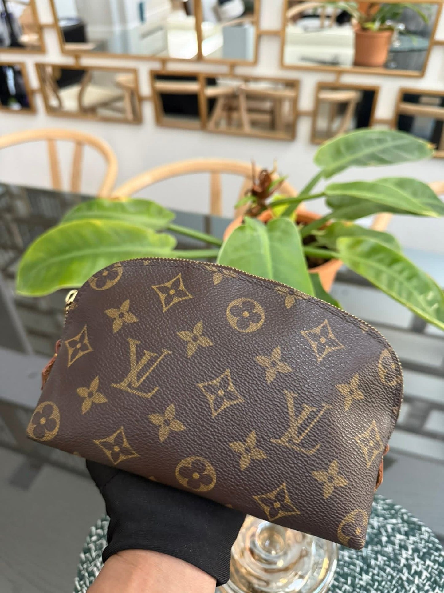 Cosmetic Pouch PM in Monogram 🗓️