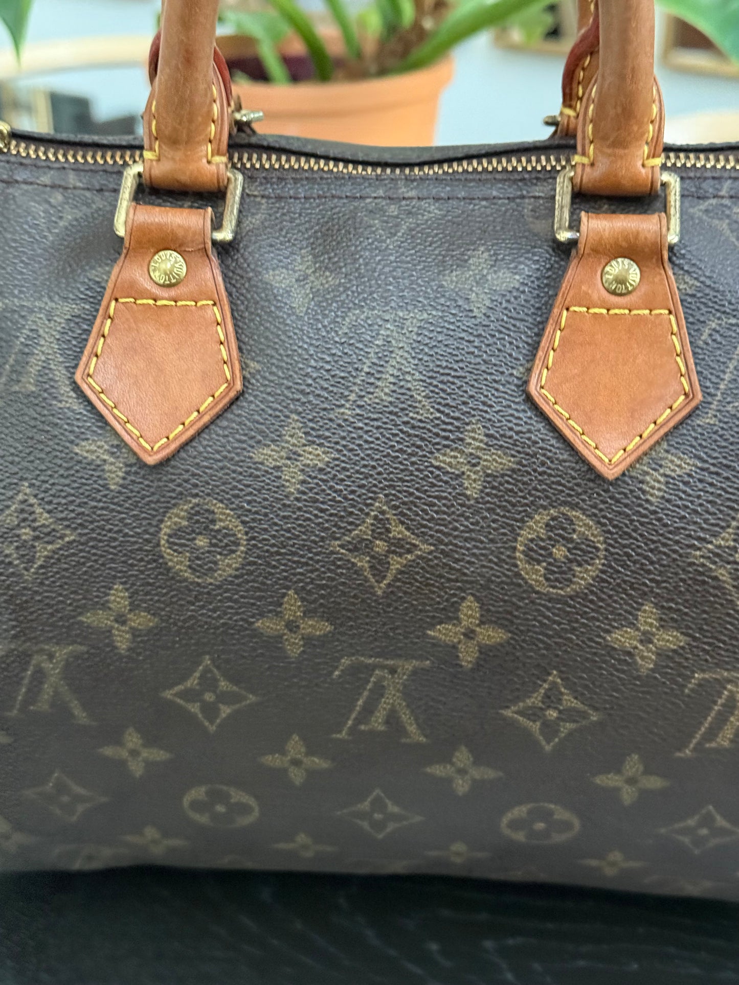Speedy 25 in Monogram with Dustbag -🗓️ Year: 2000