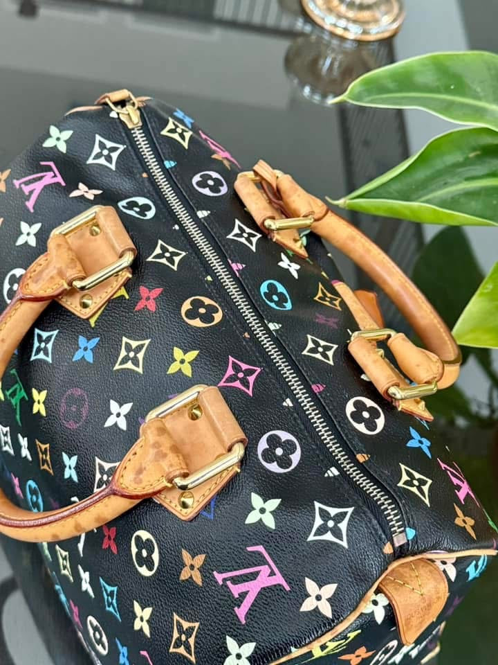 Multicolor Speedy 30 with Dustbag and generic twilly set 📅 Year: 2008