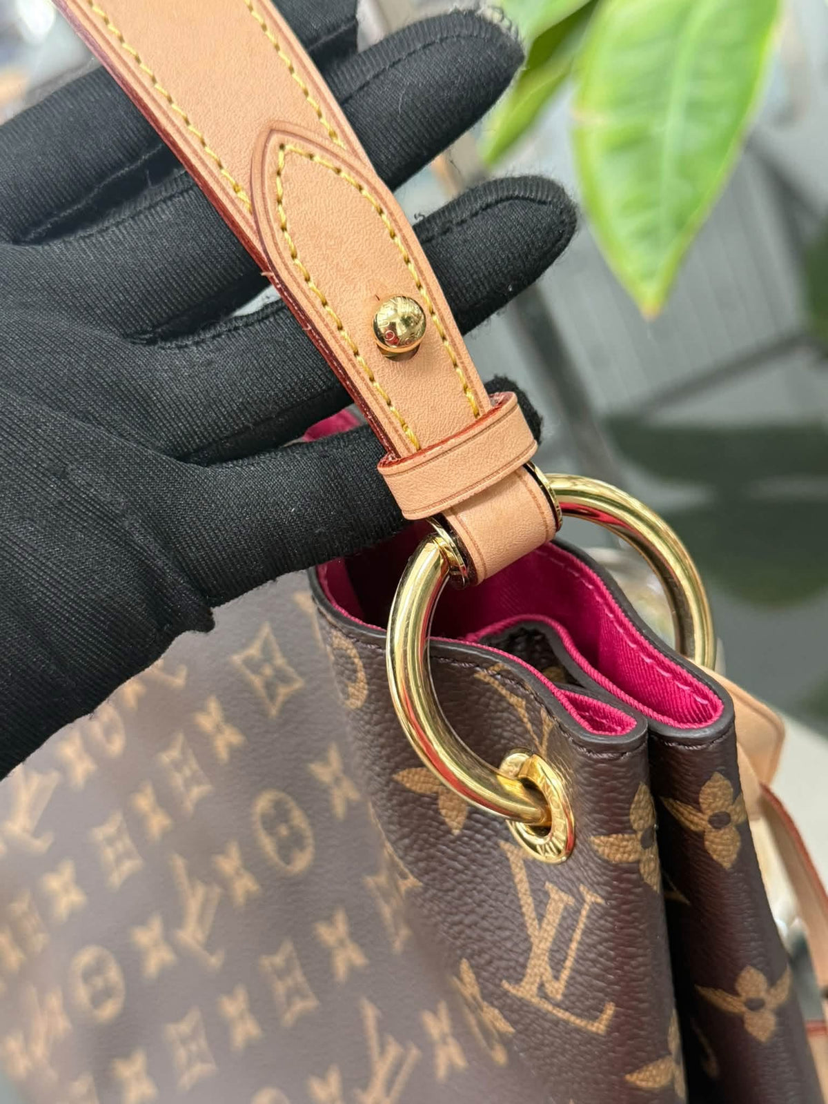 Graceful PM in Peony with Dustbag 📅 Microchipped