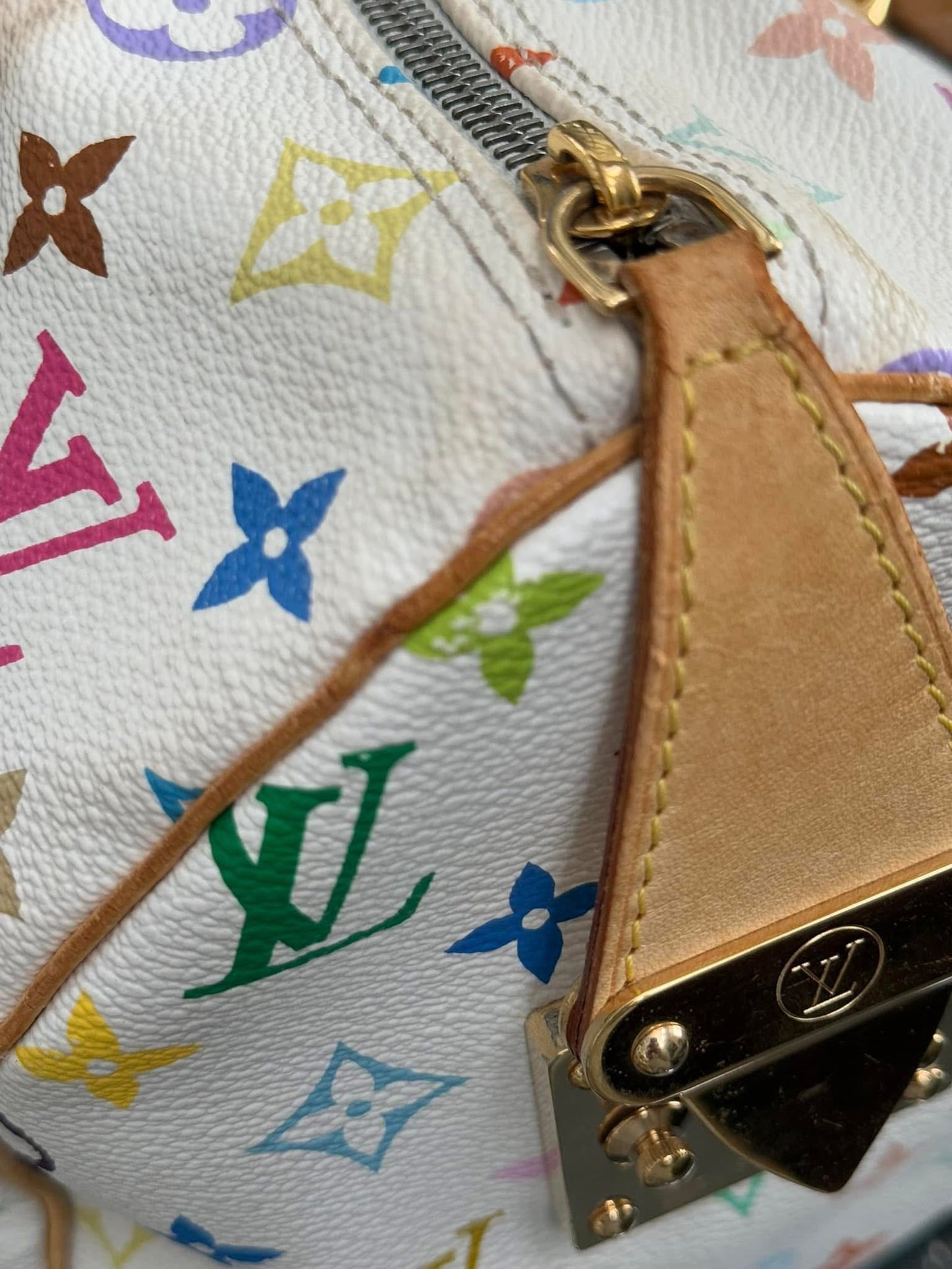 Multicolor Speedy 30 with Dustbag and Insert Organizer 📅 Year: 2006
