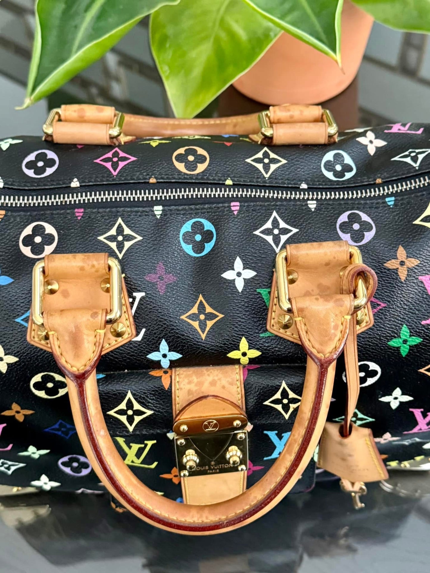 Multicolor Speedy 30 with Dustbag and generic twilly set 📅 Year: 2008