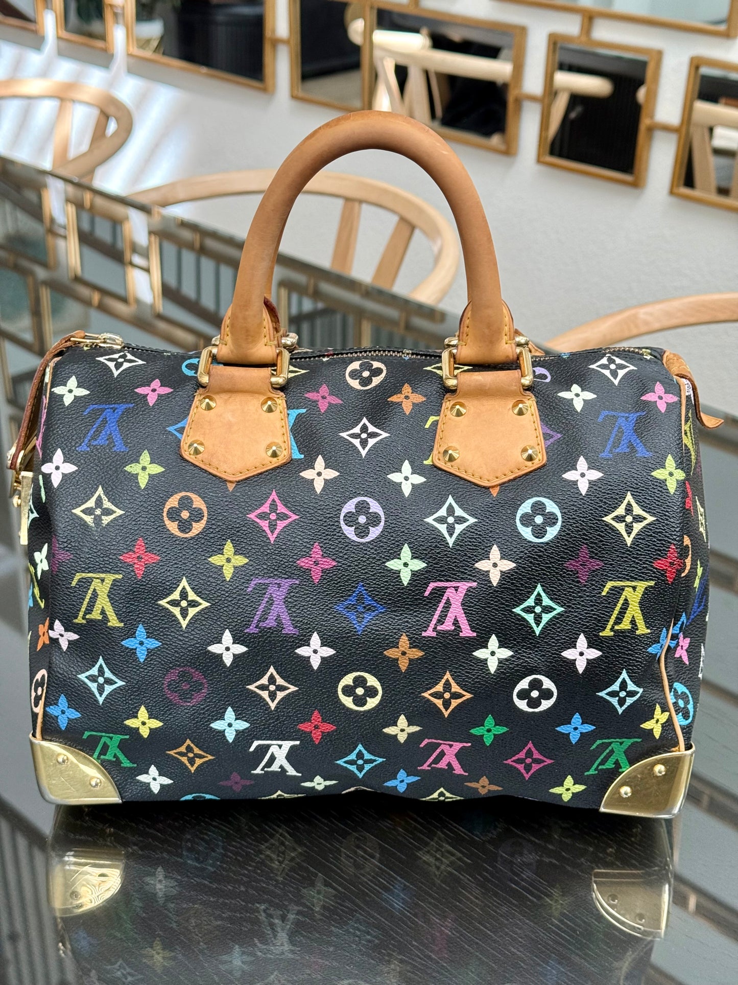 Multicolor Speedy 30 with Dustbag, Insert Organizer and twilly set 📅 Year: 2008