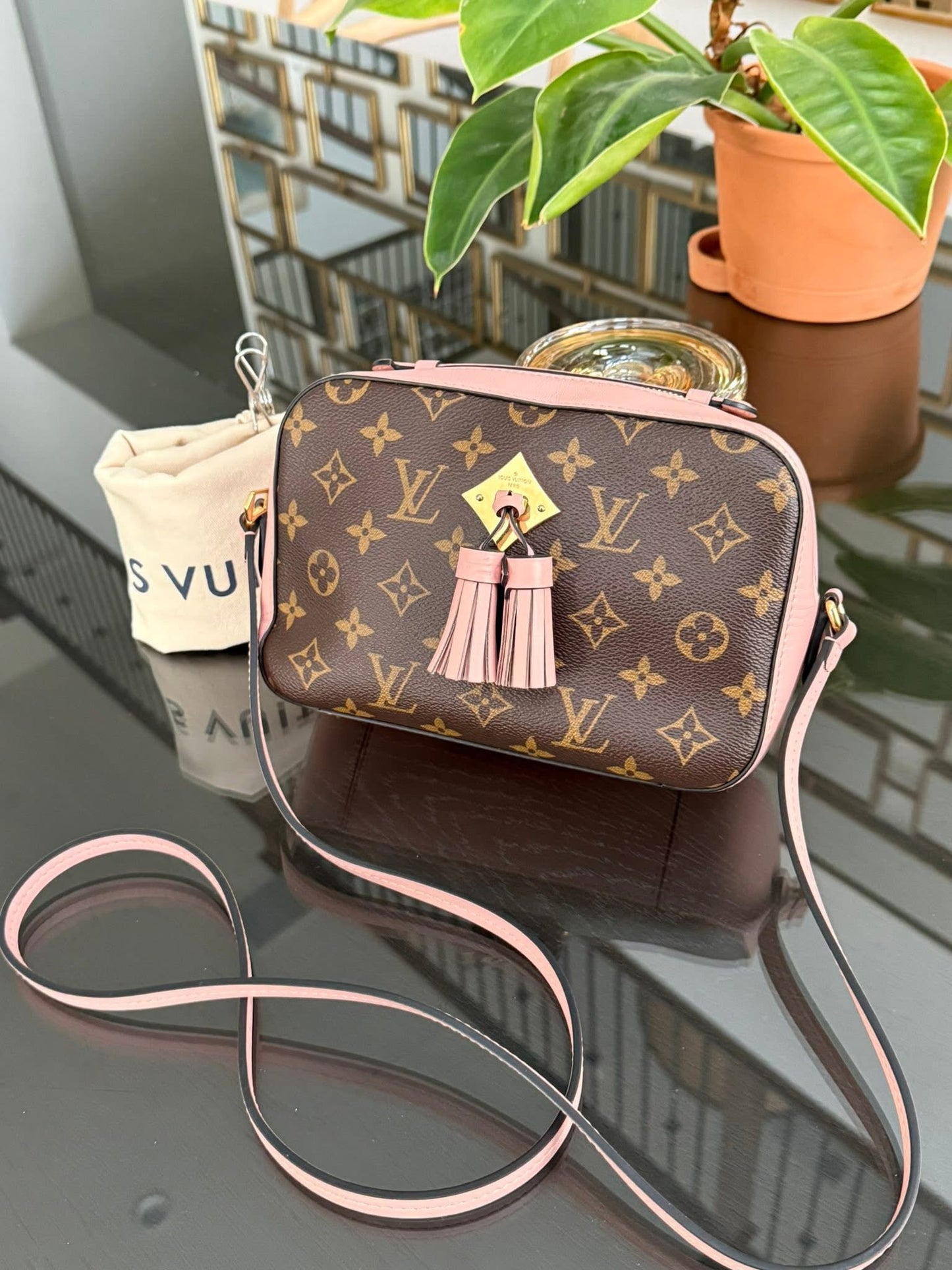 Saintonge Monogram Crossbody with Dustbag 🗓️ Year: 2019