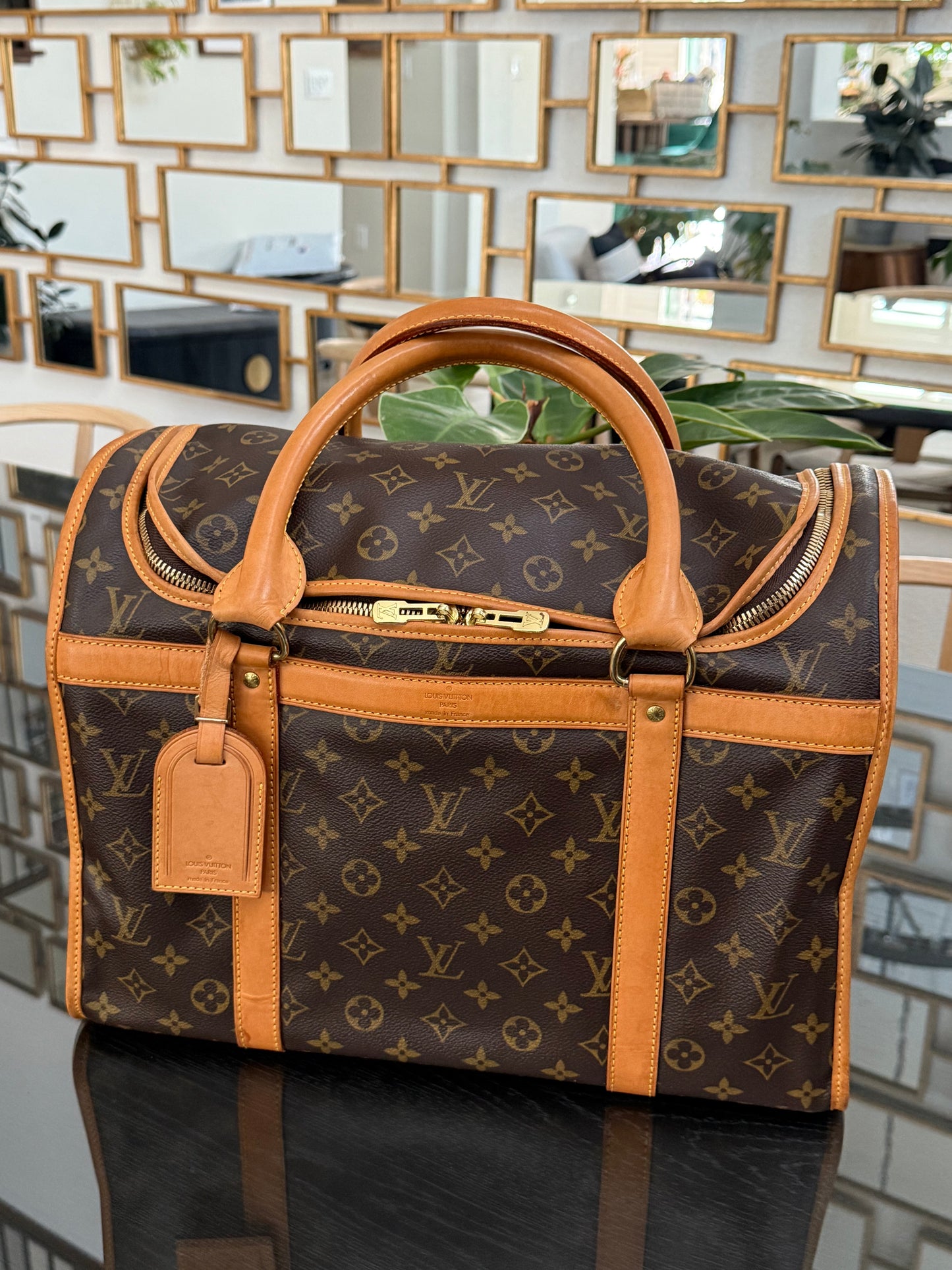Sac Chien Monogram Pet Carrier 40 with Luggage Tag 🗓️ Year: 2004