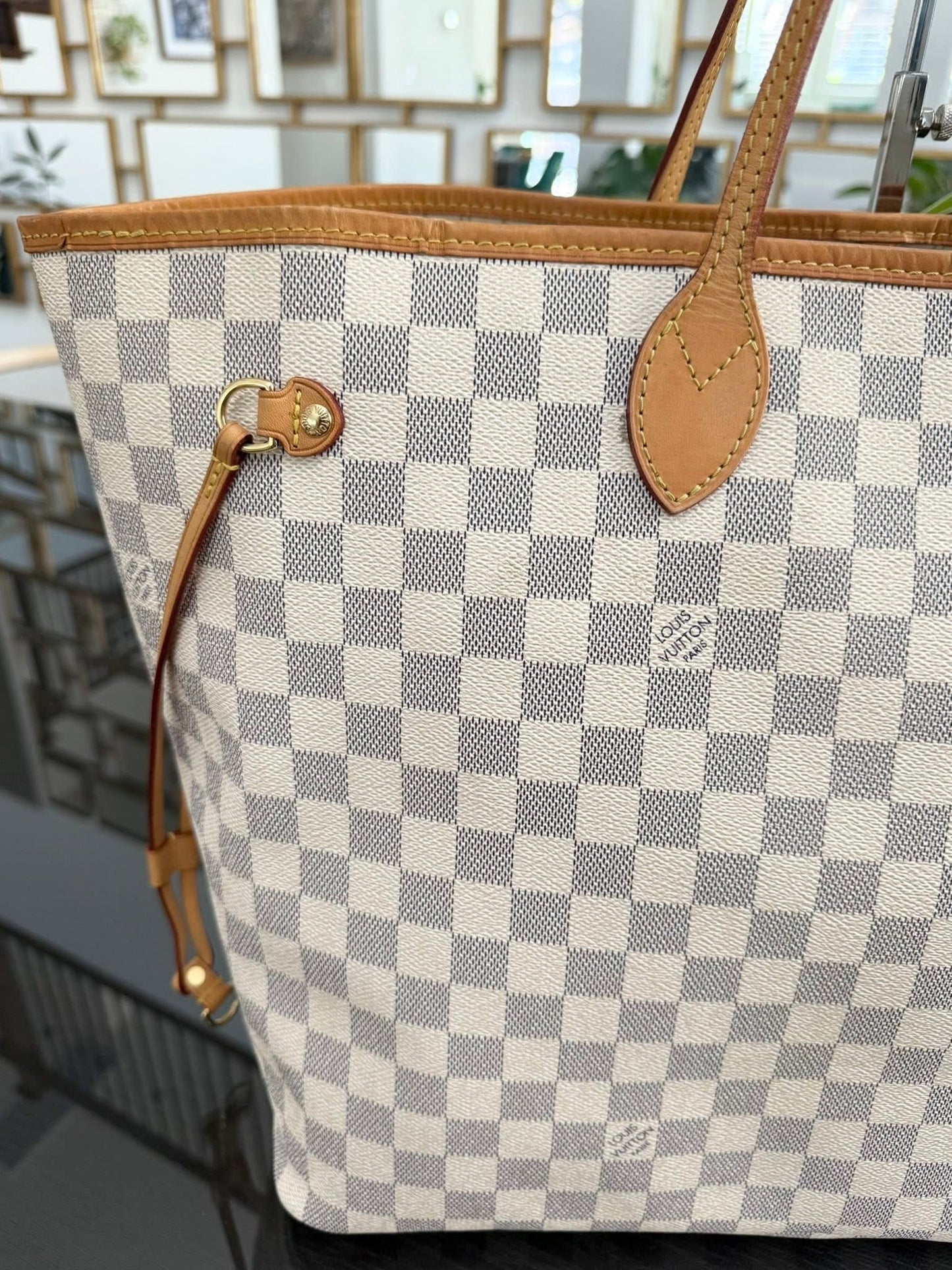 Neverfull GM in Azur with Dustbag Insert Organizer 🗓️ Year: 2012