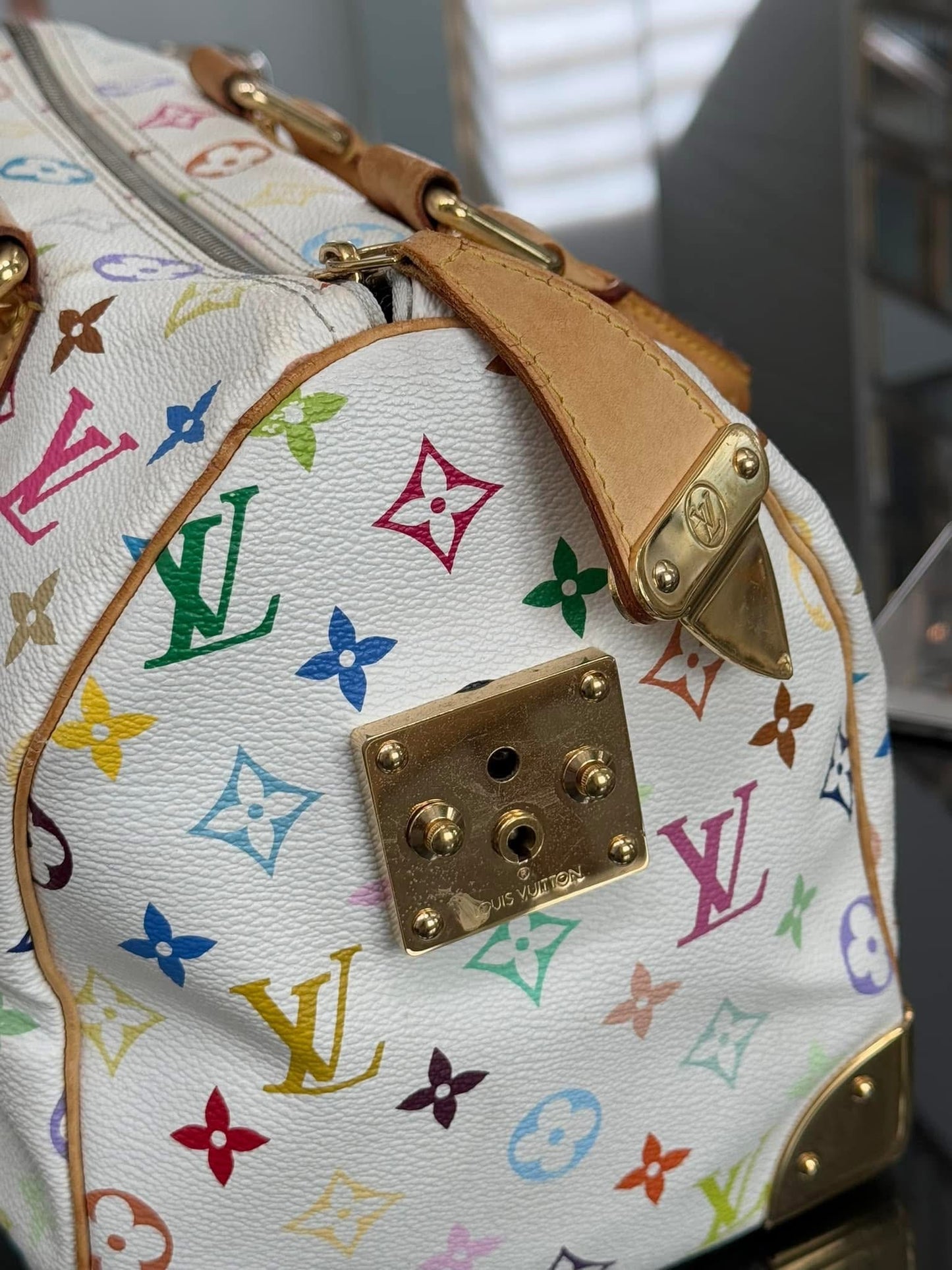 Multicolor Speedy 30 with Dustbag and Insert Organizer 📅 Year: 2006