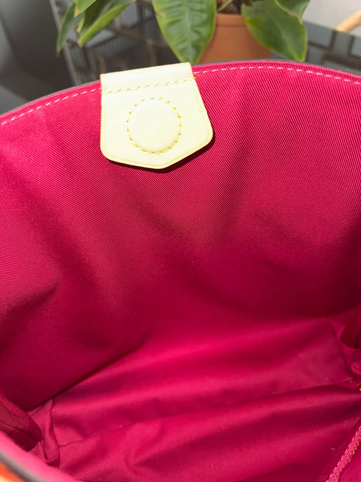 Graceful PM in Peony with Dustbag 📅 Microchipped