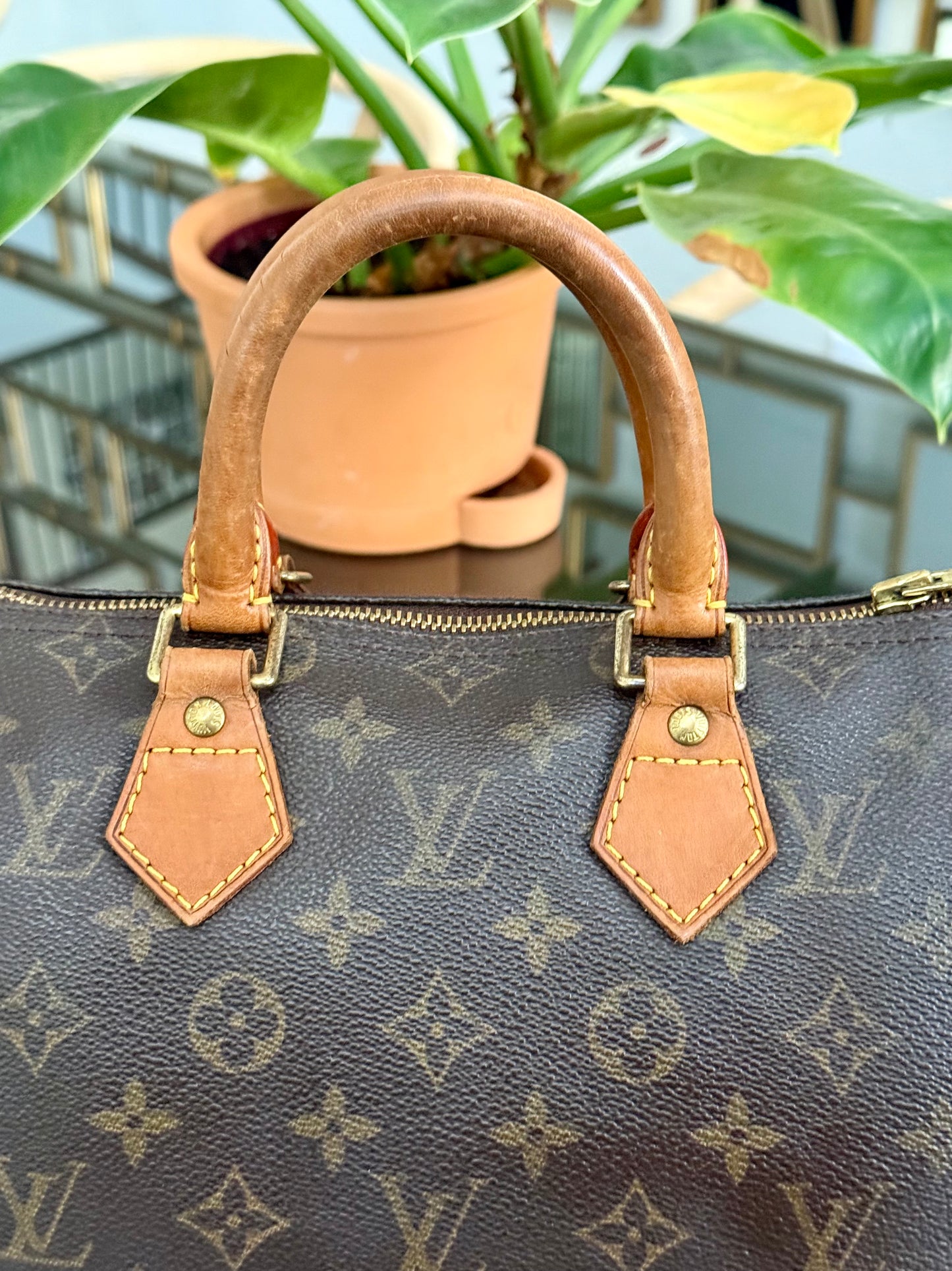Speedy 25 in Monogram with Dustbag -🗓️ Year: 2000