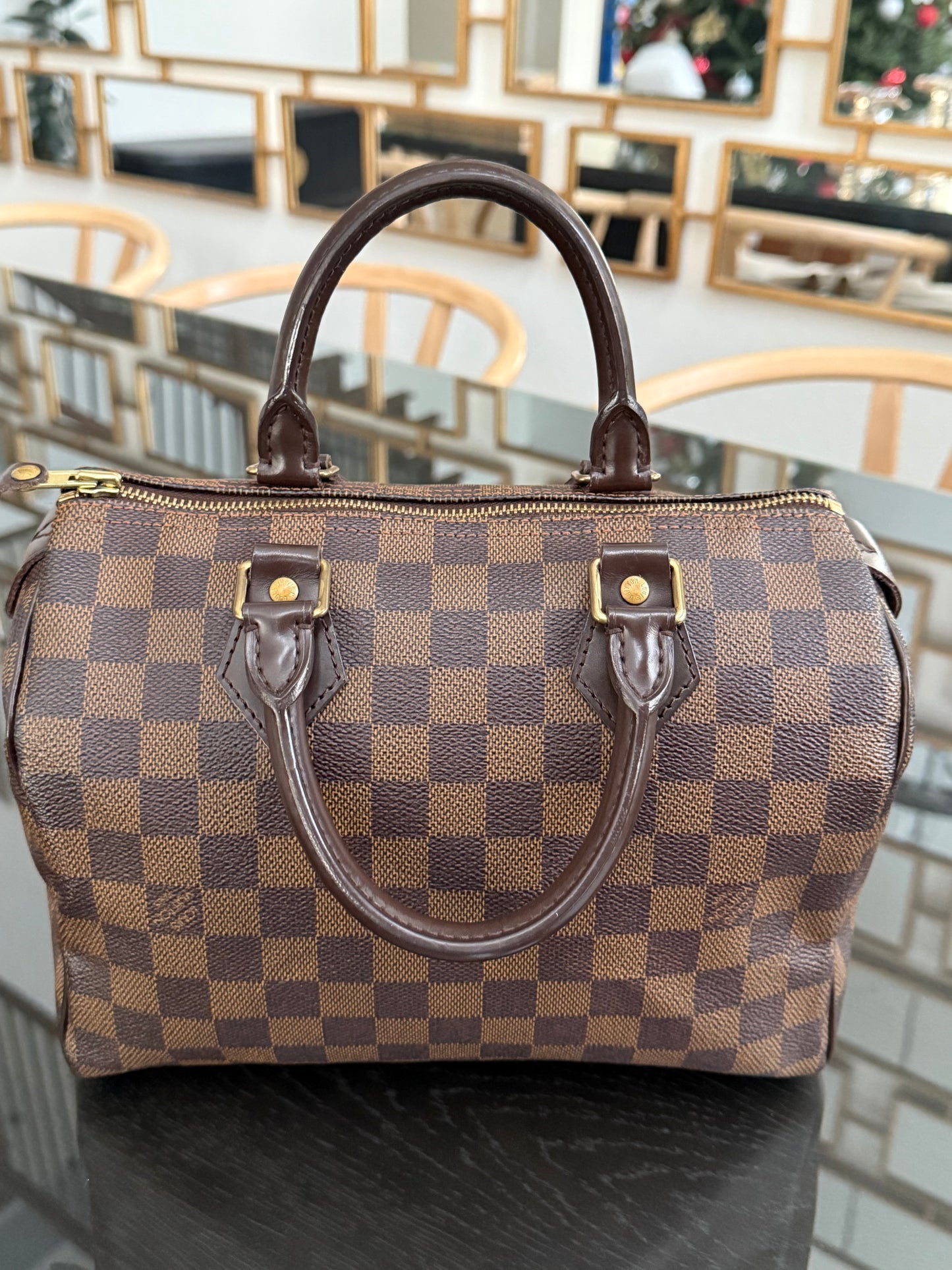 Speedy 25 De with 🔐 Lock, Key, Dustbag and Insert Organizer - Year: 2008