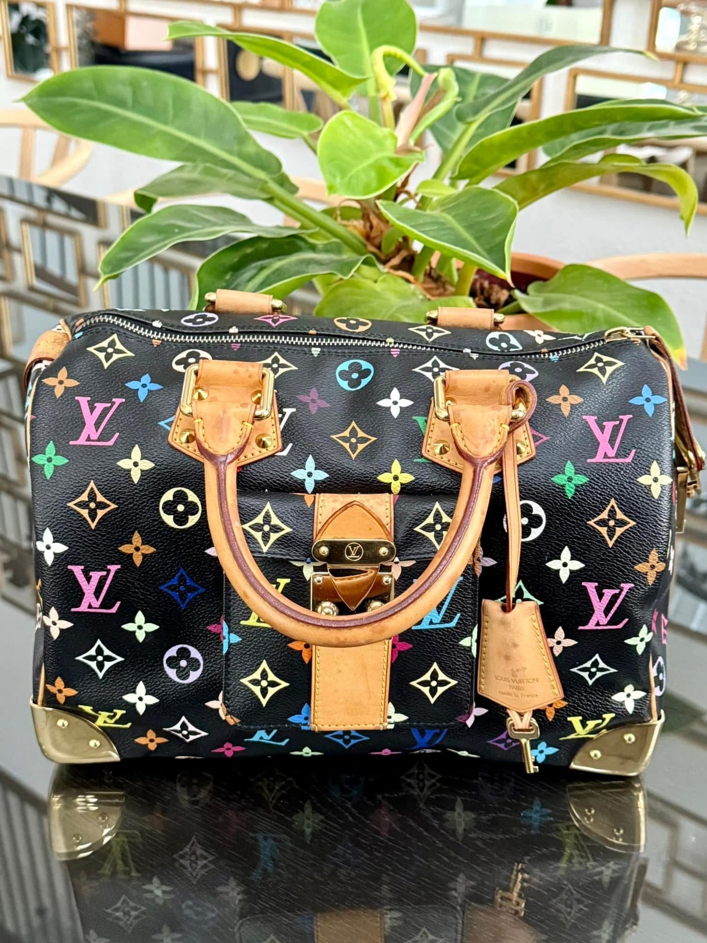 Multicolor Speedy 30 with Dustbag and generic twilly set 📅 Year: 2008