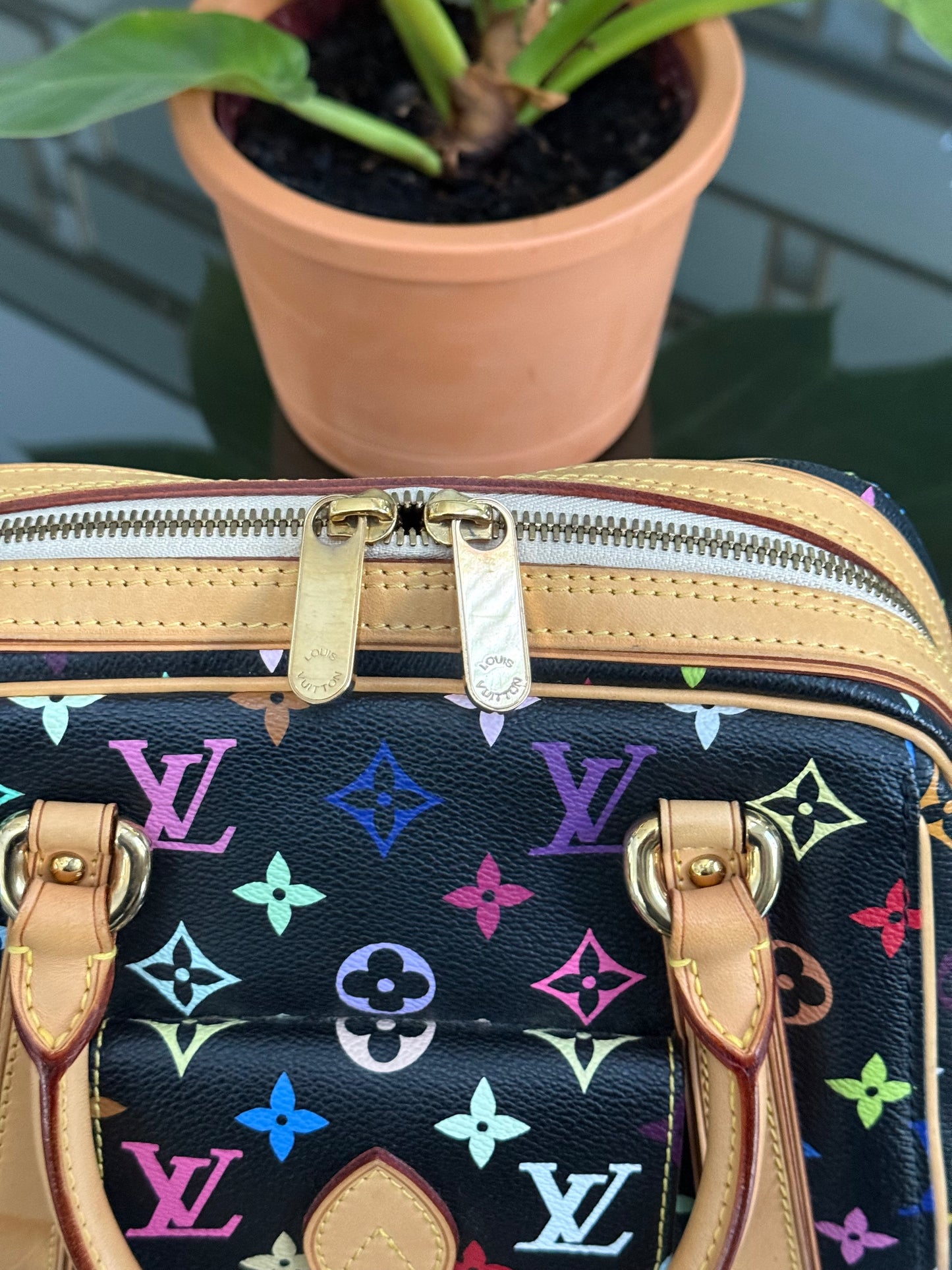 Multicolor Priscilla with Dustbag🌺📅 Year: 2008