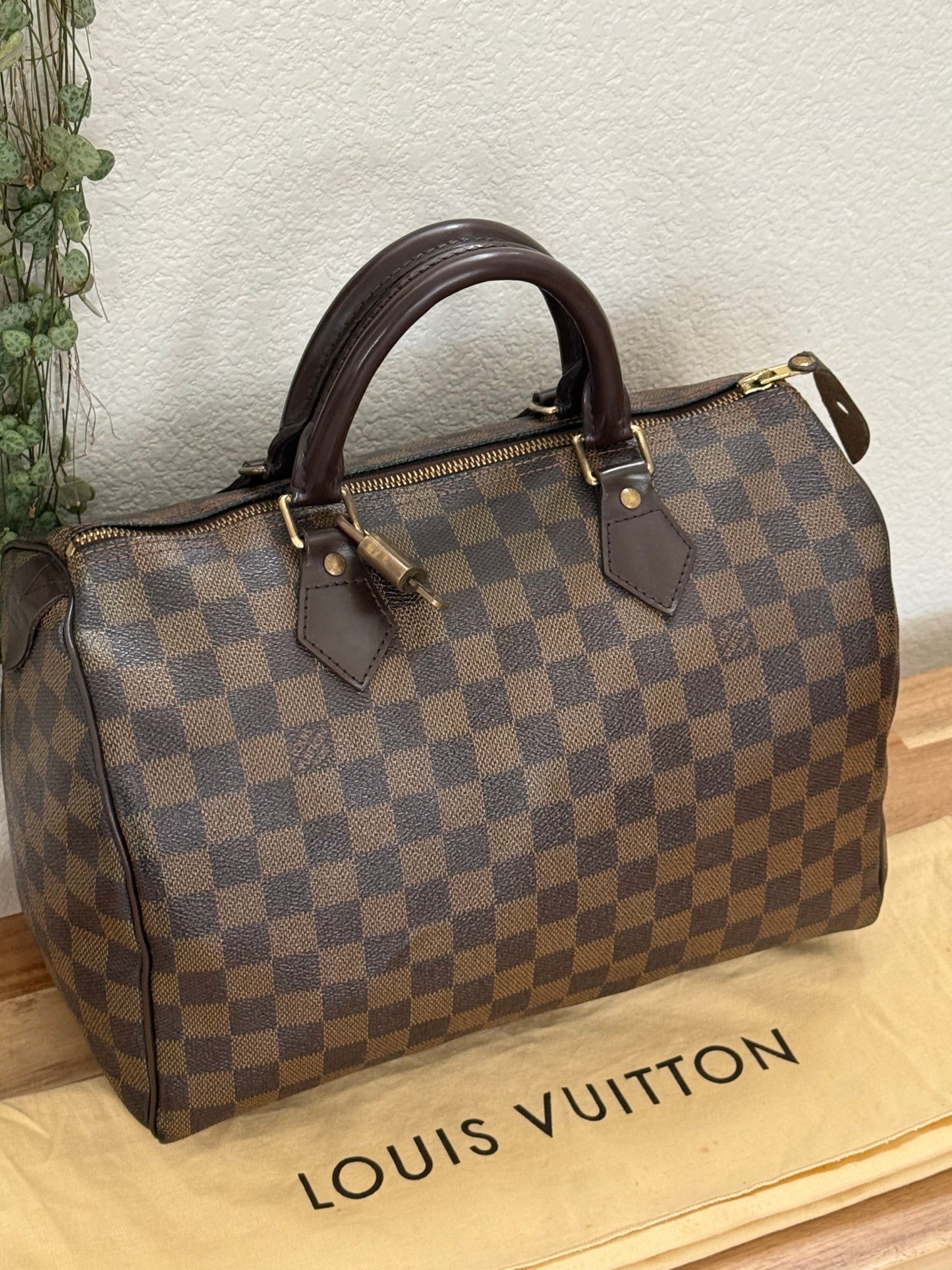 Speedy 30 in DE with 🔐 Lock & Key and Dustbag - 📅 Year: 2008
