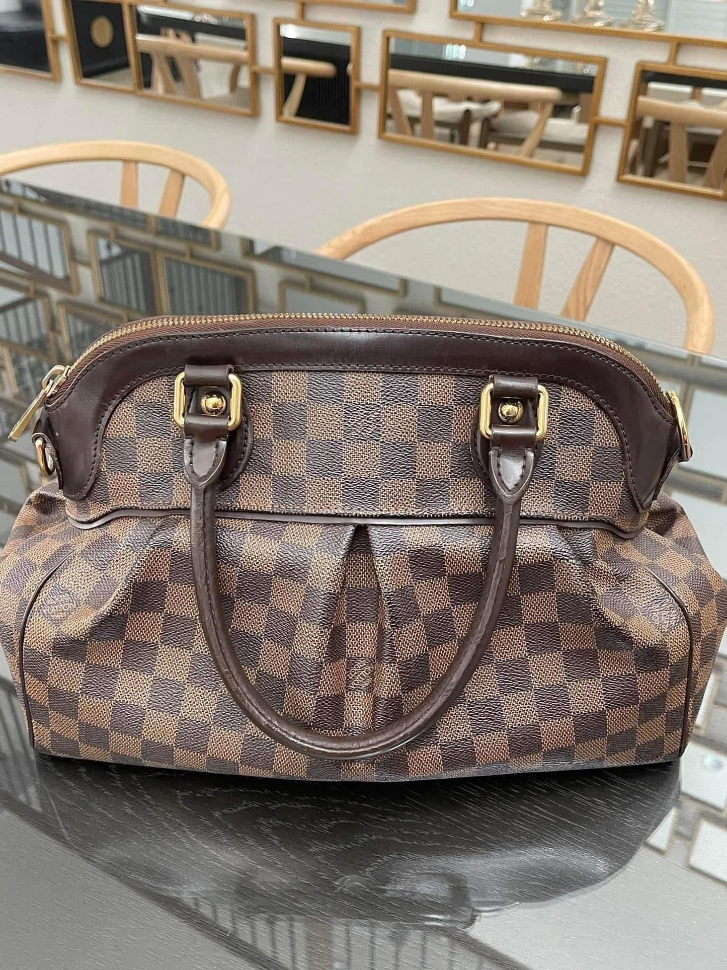 Trevi PM with Dustbag & Receipt - 📅 Year: 2008