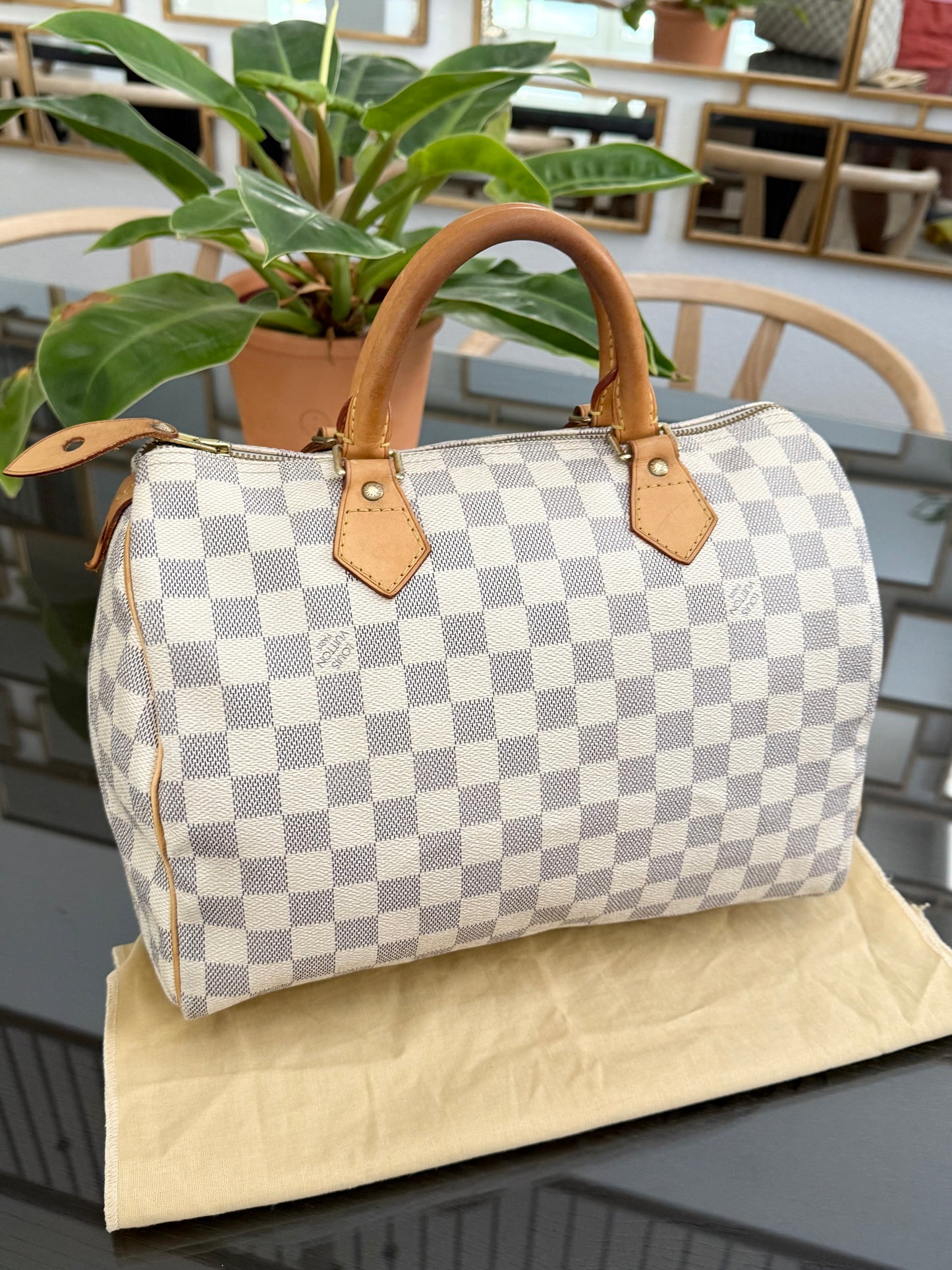 Speedy 30 Azur with Dustbag and insert organizer 
🗓️ Year: 2007