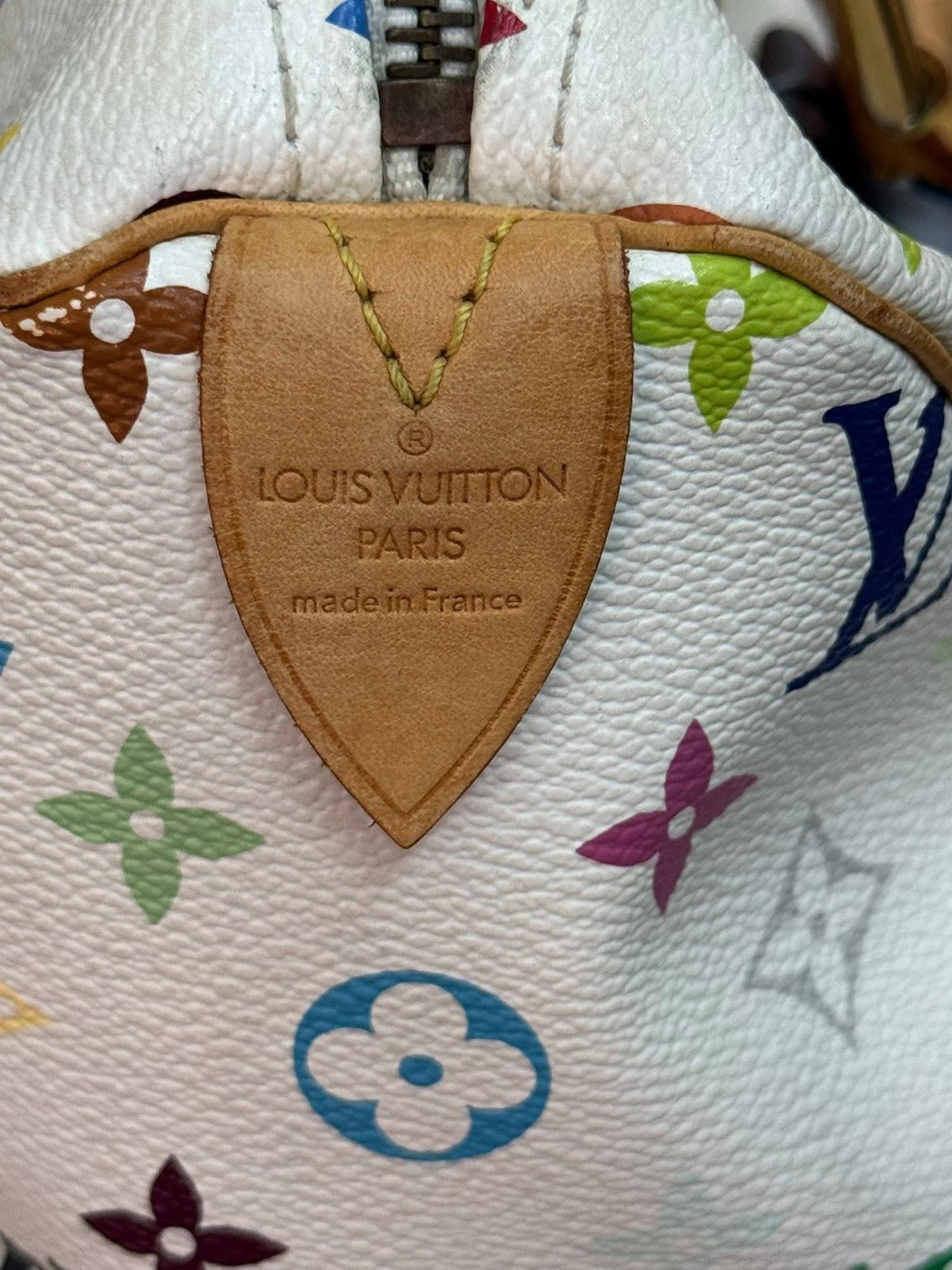 Multicolor Speedy 30 with Dustbag, Insert Organizer and generic twilly set 📅 Year: 2005
