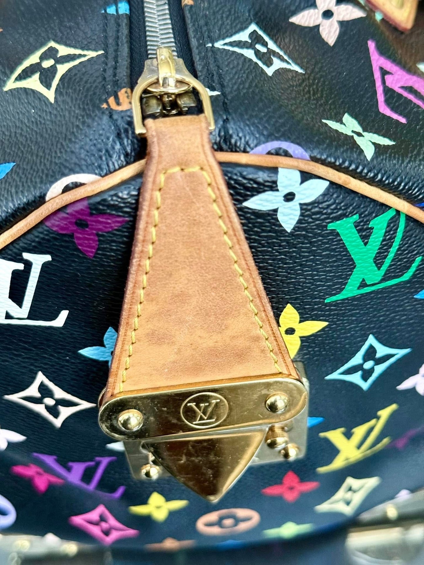 Multicolor Speedy 30 with Dustbag and generic twilly set 📅 Year: 2008