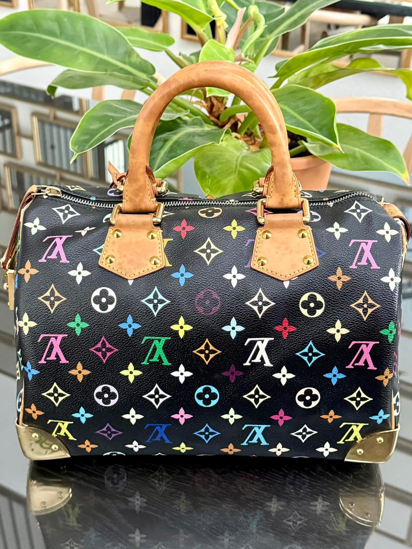 Multicolor Speedy 30 with Dustbag and generic twilly set 📅 Year: 2008