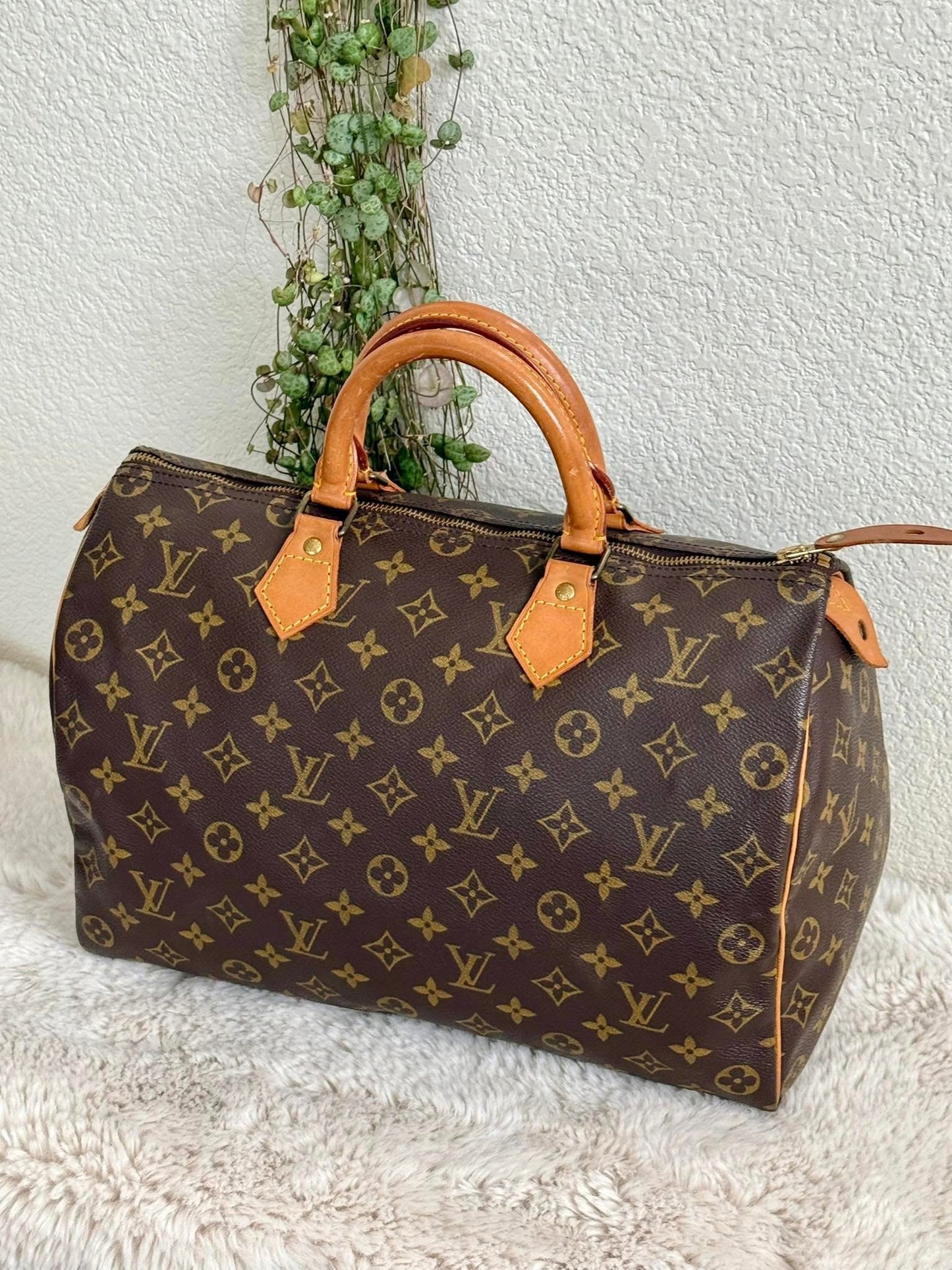 Speedy 35 with Insert Organizer - 📅 Year: 1989