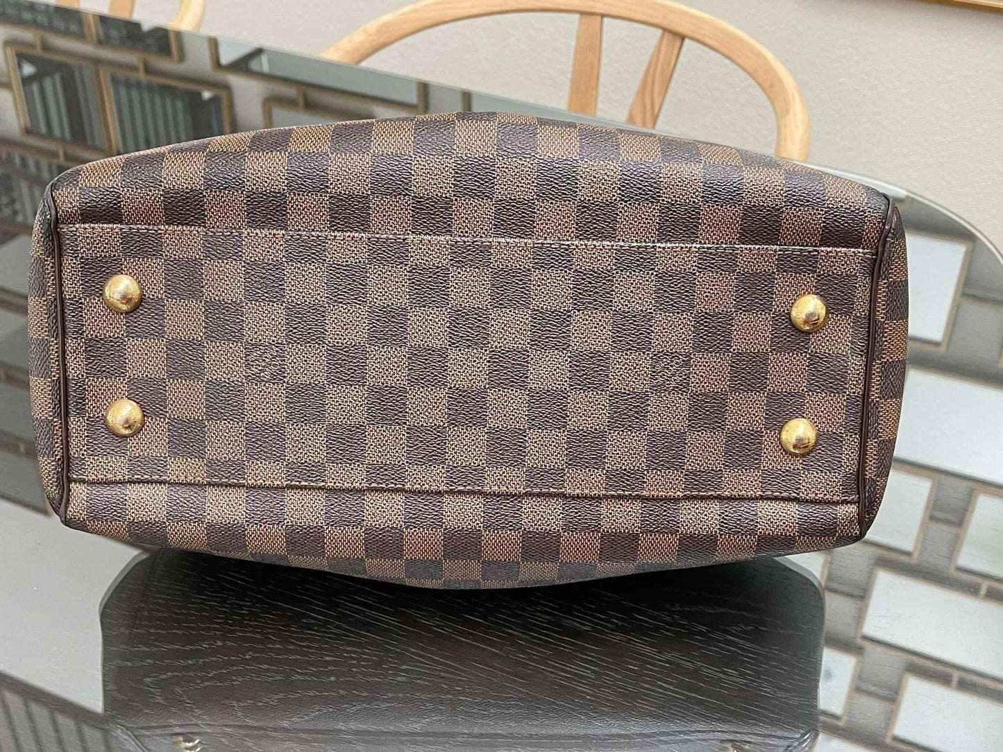 Trevi PM with Dustbag & Receipt - 📅 Year: 2008