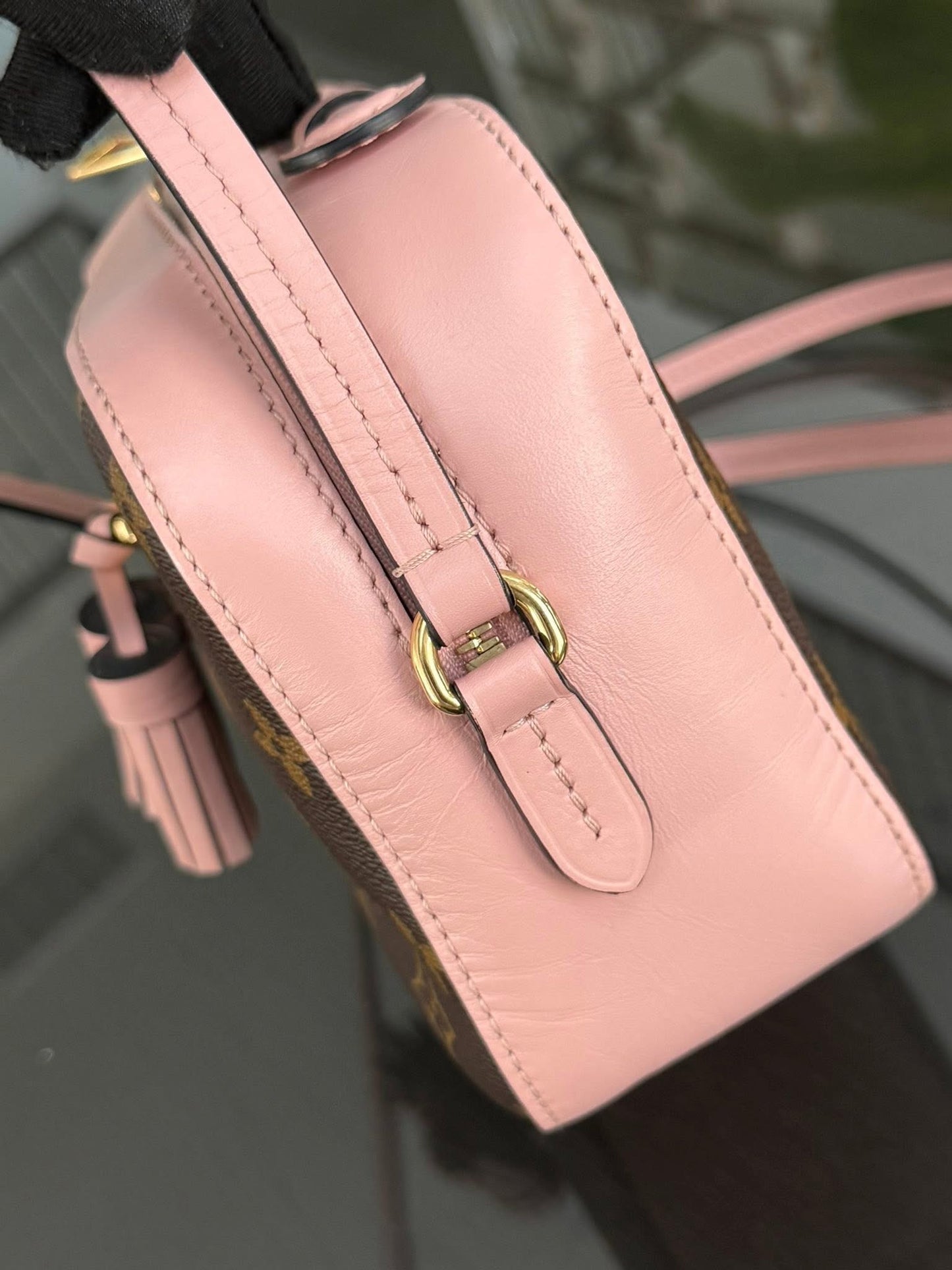 Saintonge Monogram Crossbody with Dustbag 🗓️ Year: 2019