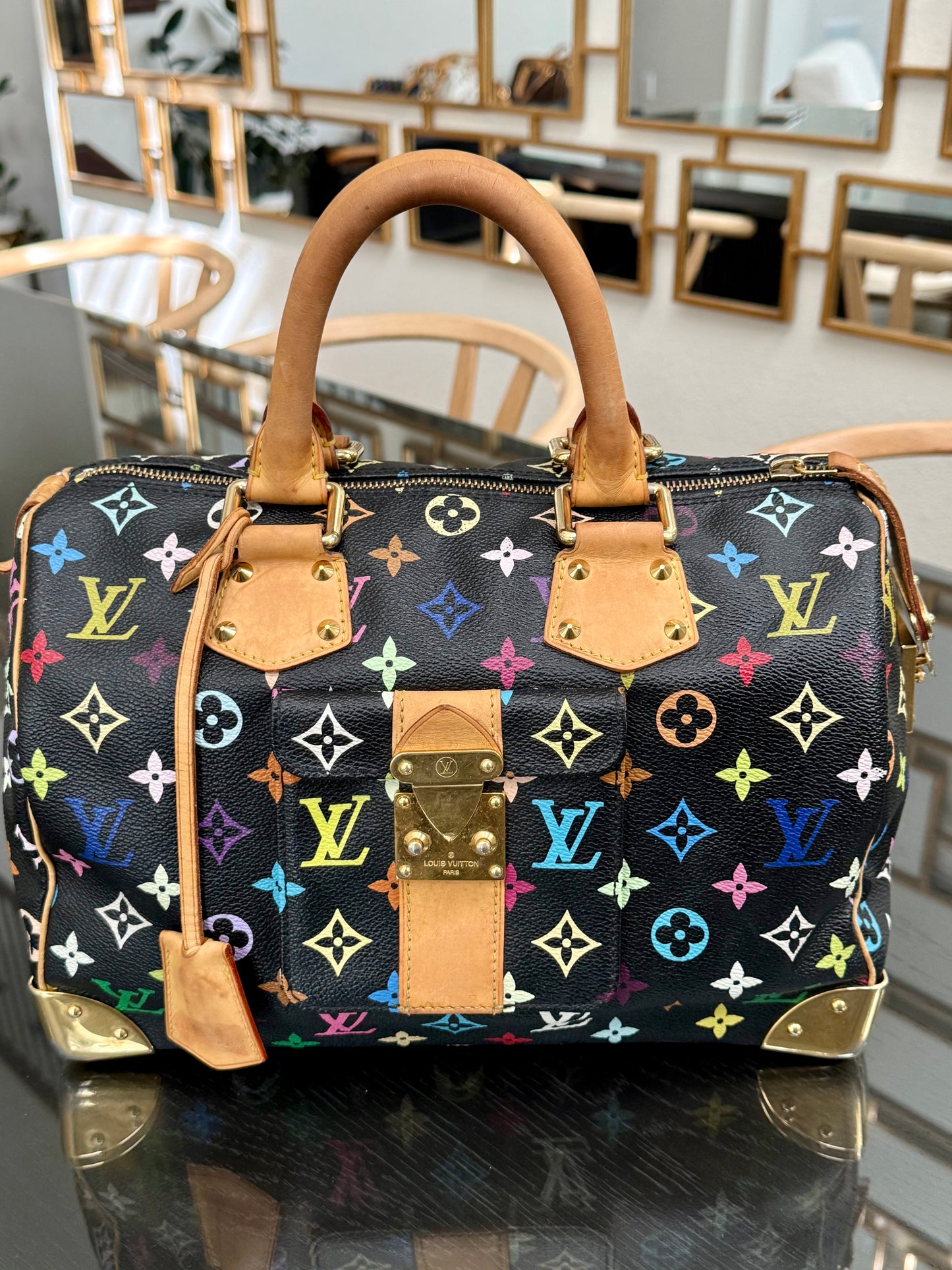 Multicolor Speedy 30 with Dustbag, Insert Organizer and twilly set 📅 Year: 2008