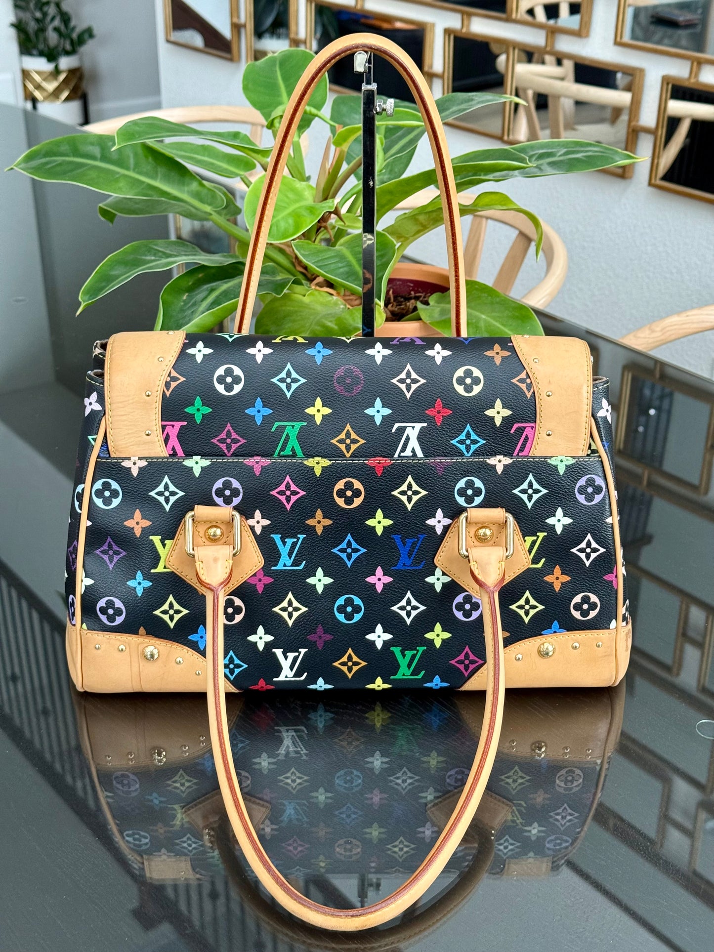 Multicolor Beverly GM with Dustbag 📅 Year: 2008