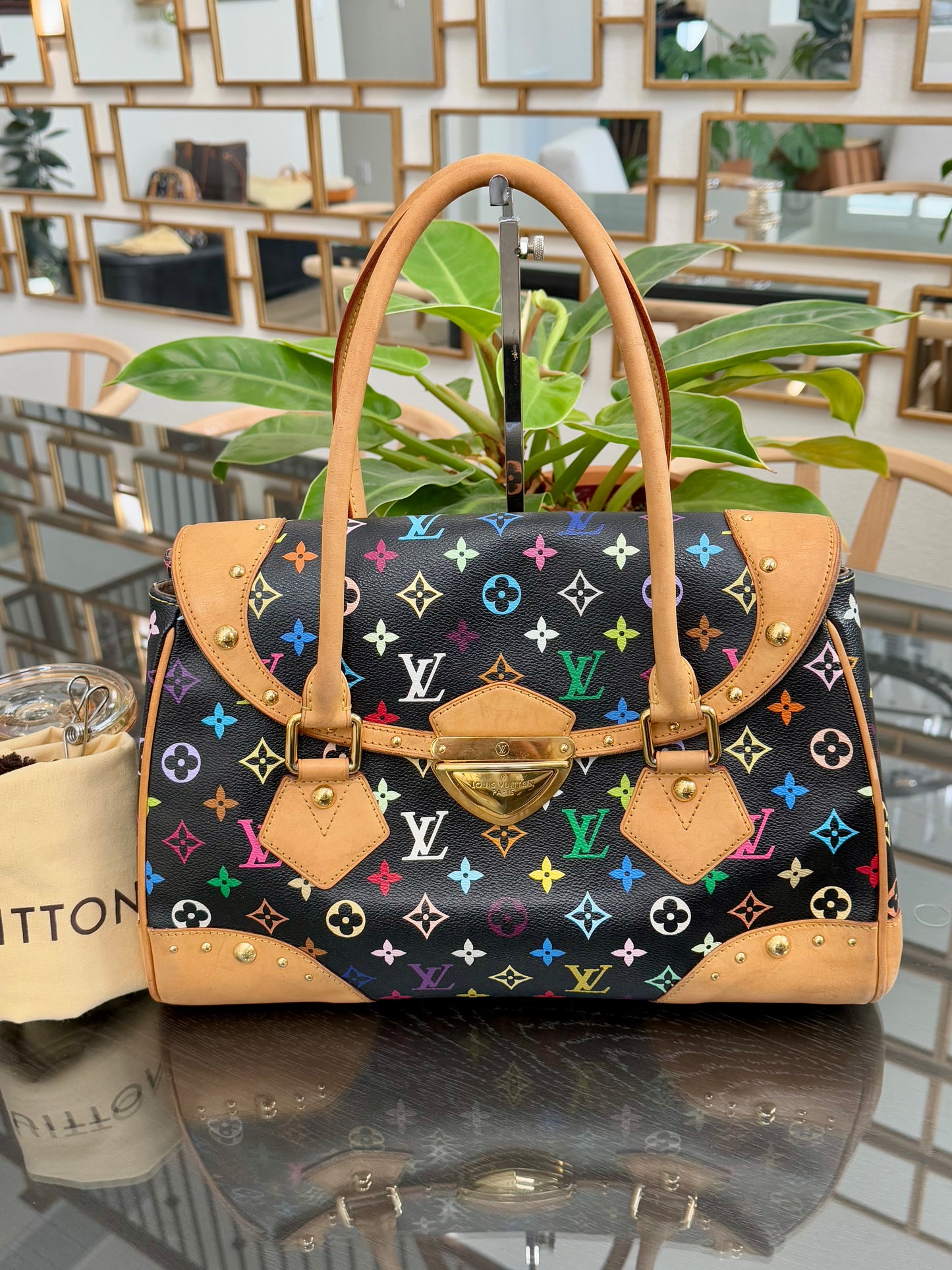 Multicolor Beverly GM with Dustbag 📅 Year: 2000