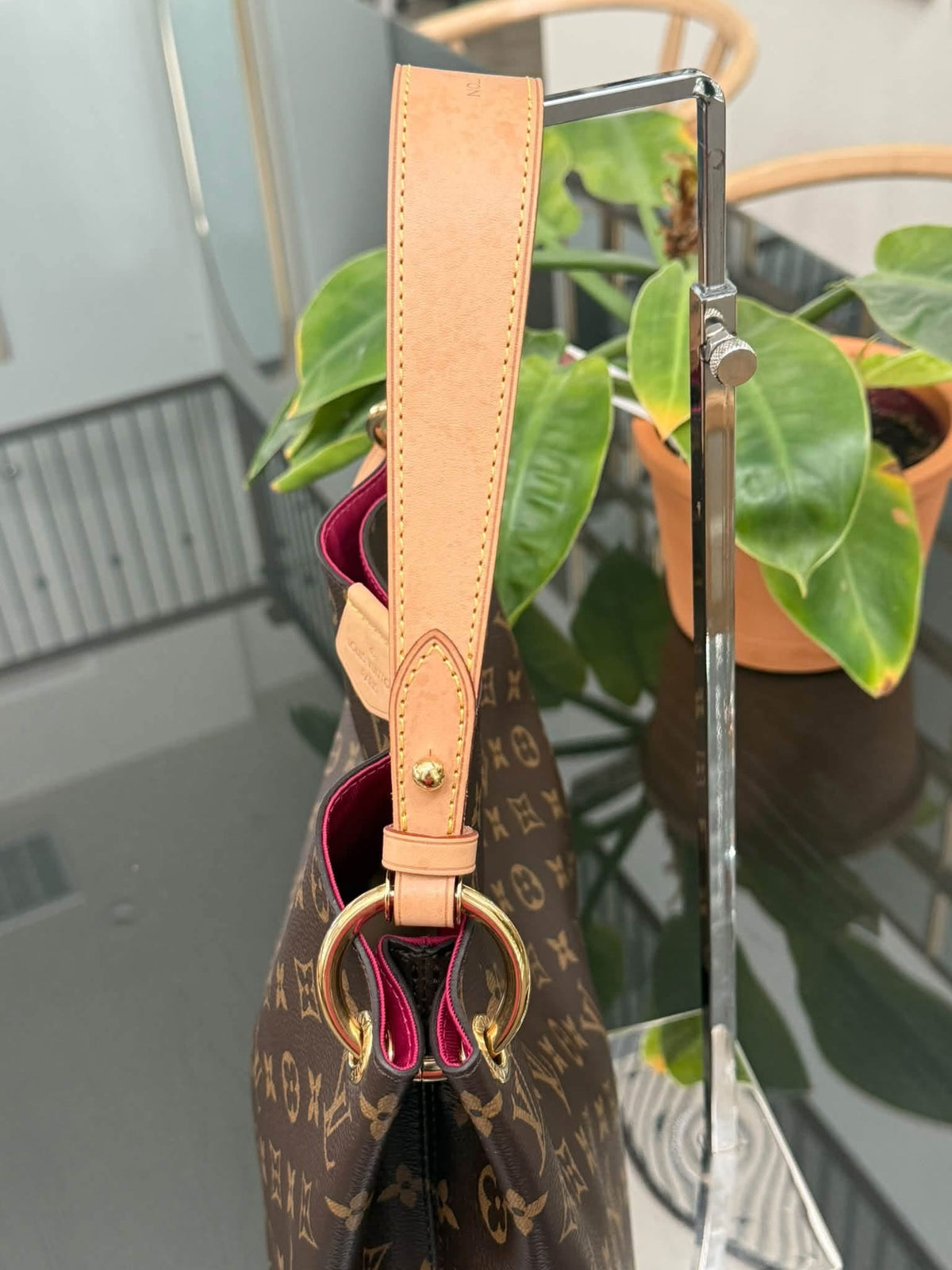 Graceful PM in Peony with Dustbag 📅 Microchipped
