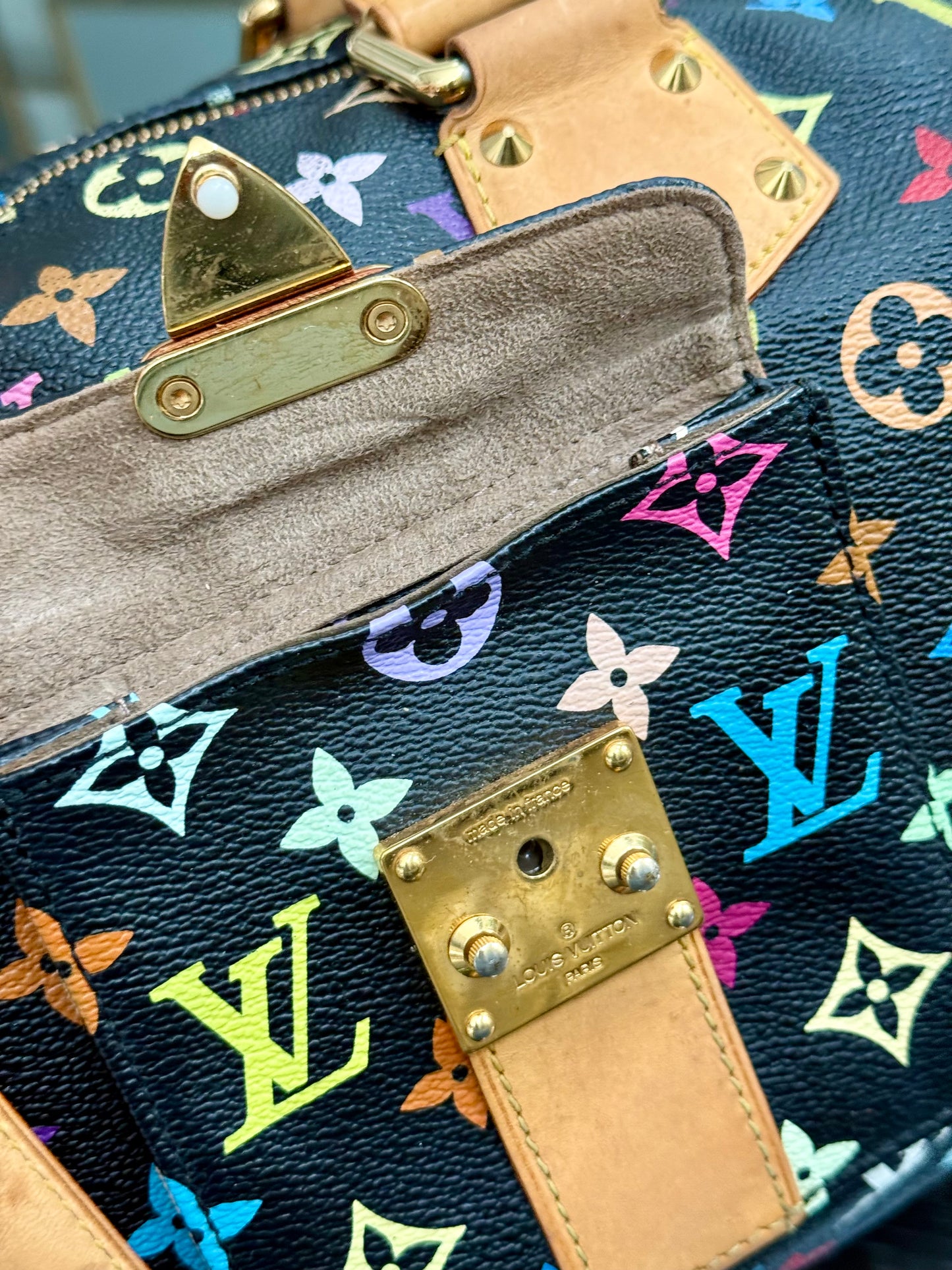 Multicolor Speedy 30 with Dustbag, Insert Organizer and twilly set 📅 Year: 2008