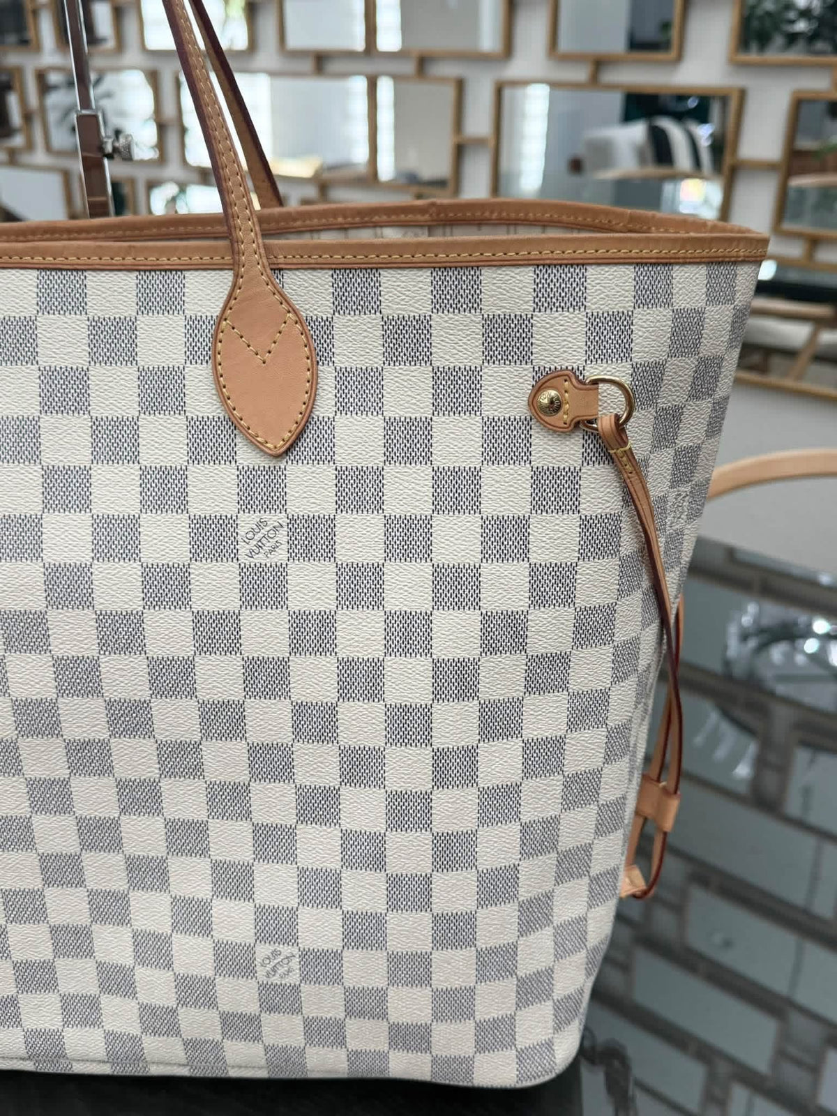 Neverfull GM in Azur with Dustbag, Insert Organizer and Non branded Twilly -🗓️ Year: 2009