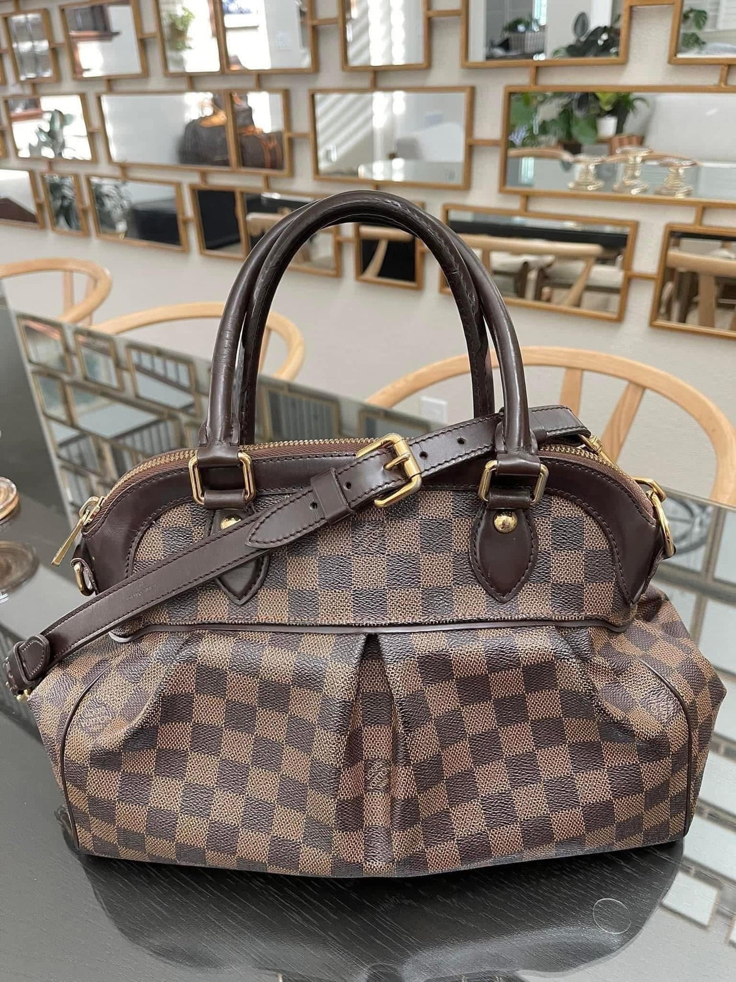 Trevi PM with Dustbag & Receipt - 📅 Year: 2008