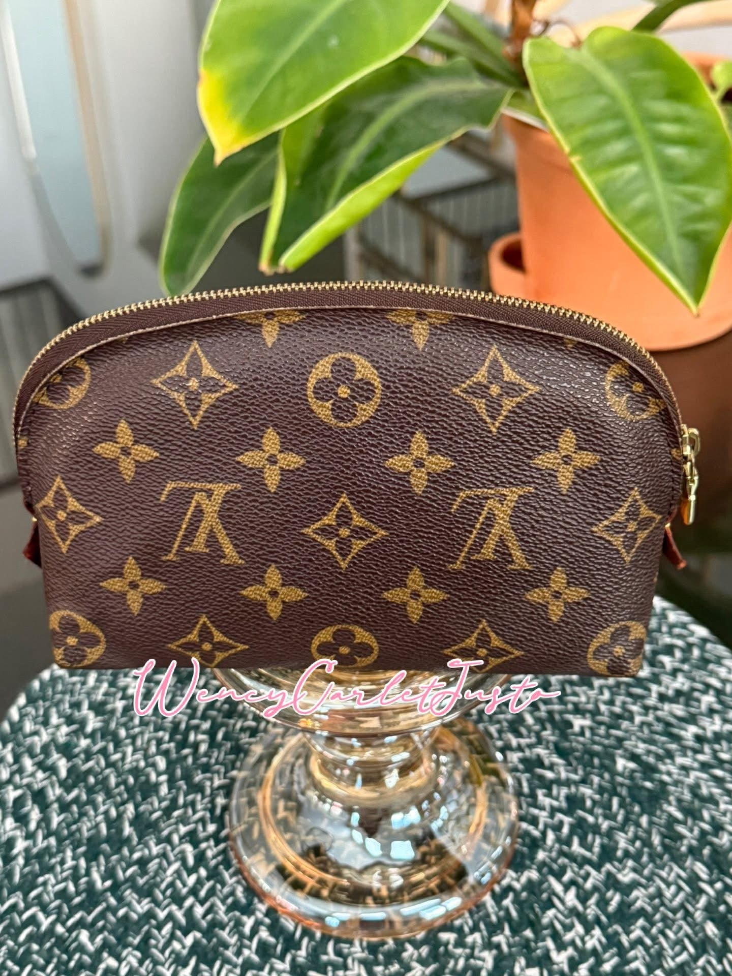 Cosmetic Pouch PM in Monogram 🗓️