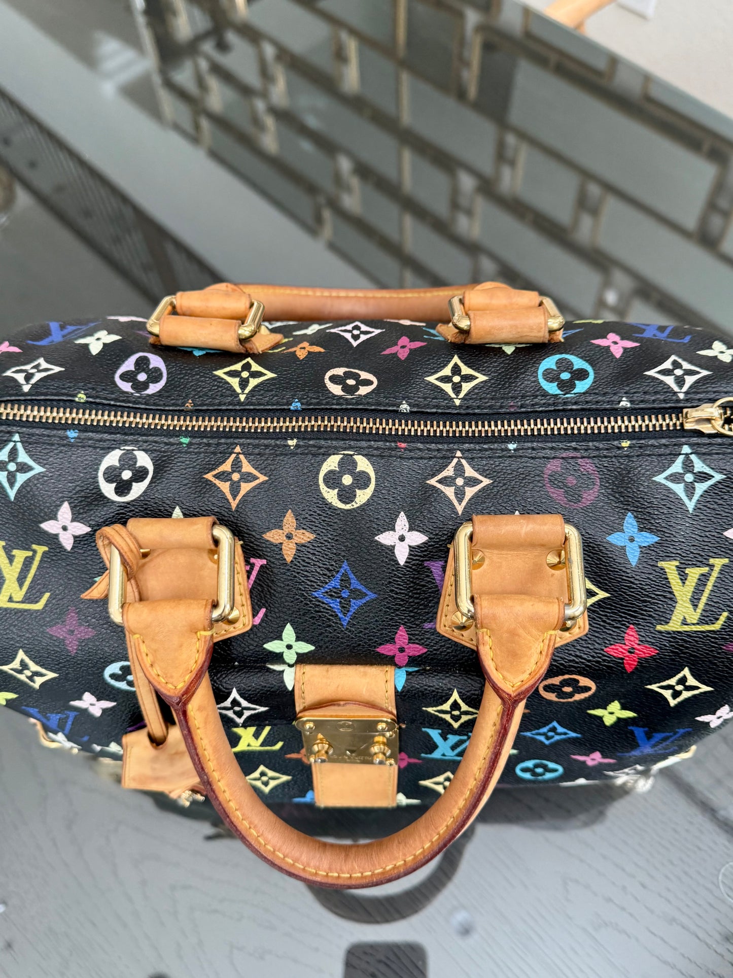 Multicolor Speedy 30 with Dustbag, Insert Organizer and twilly set 📅 Year: 2008