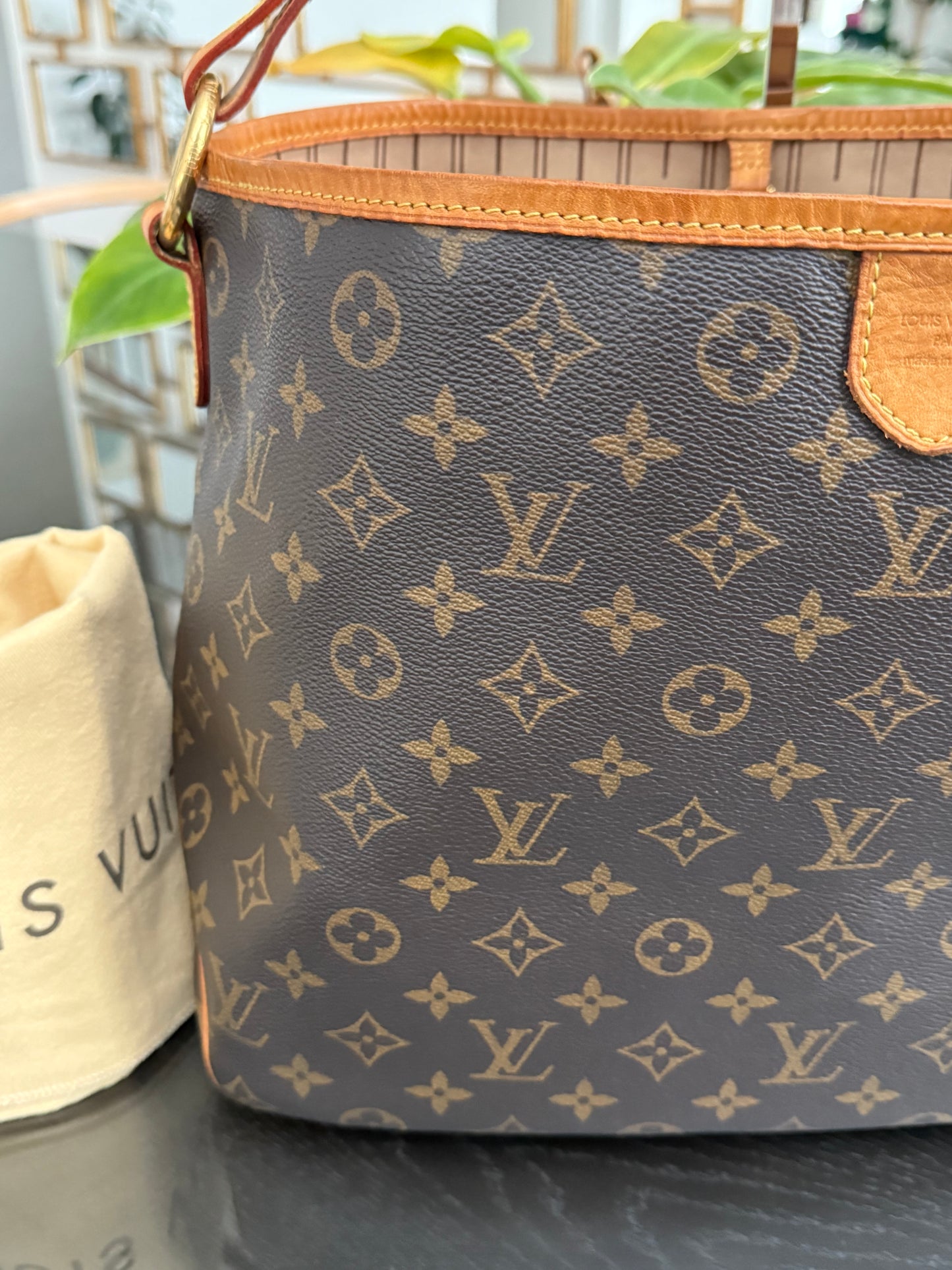 Delightful PM with Dustbag and Insert Organizer 🗓️ Year: 2012