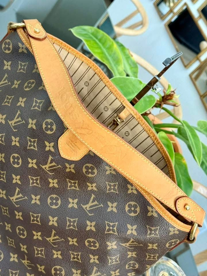 Delightful MM with Dustbag and Insert Organizer 📅 Year: 2011