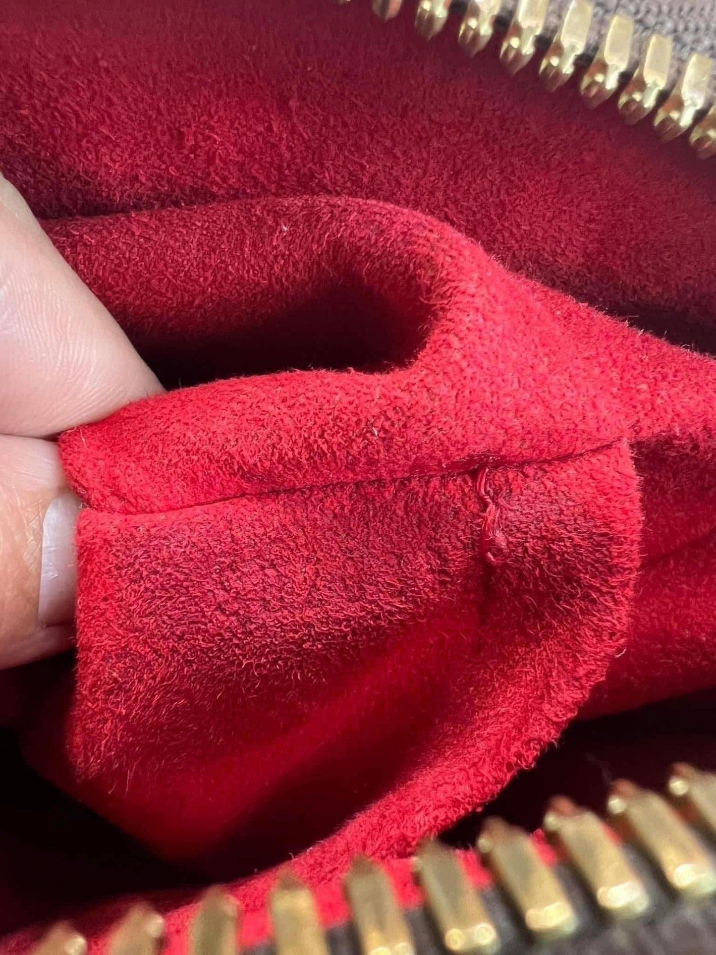 Trevi PM with Dustbag & Receipt - 📅 Year: 2008