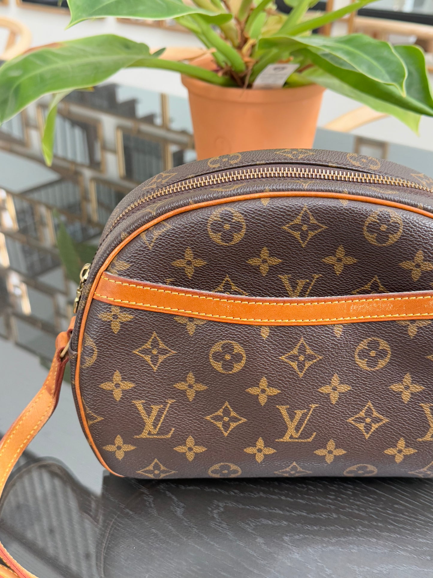 Blois Crossbody -🗓️ Year: 1995