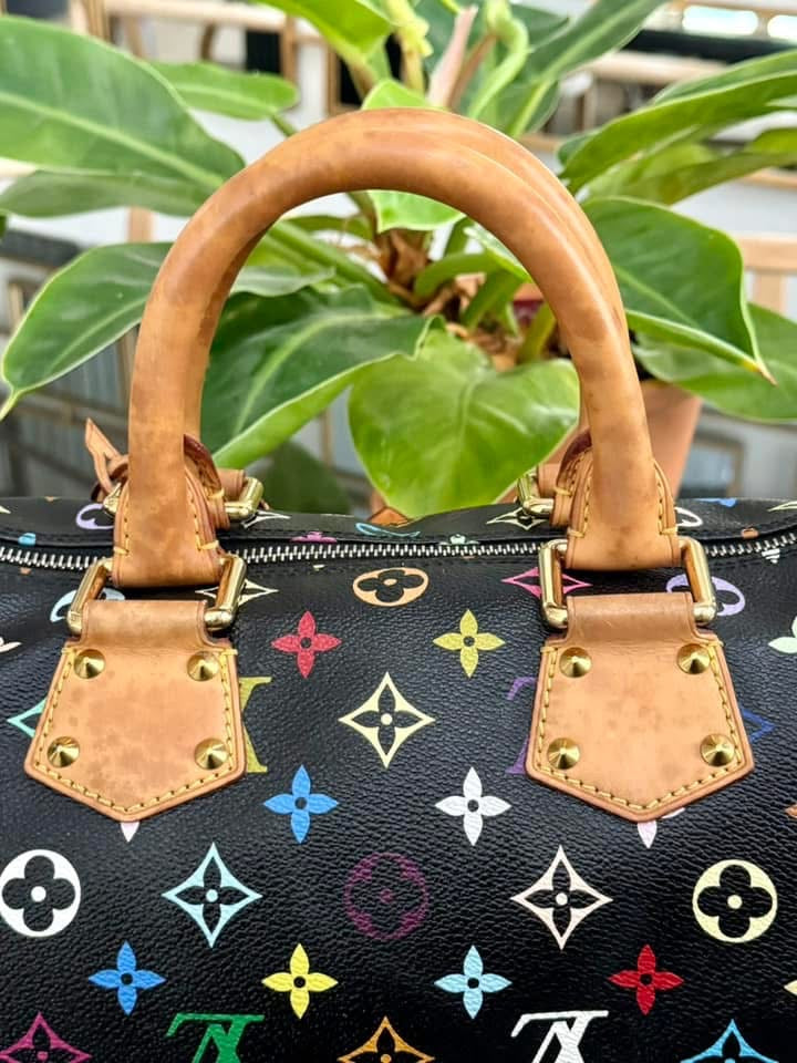 Multicolor Speedy 30 with Dustbag and generic twilly set 📅 Year: 2008