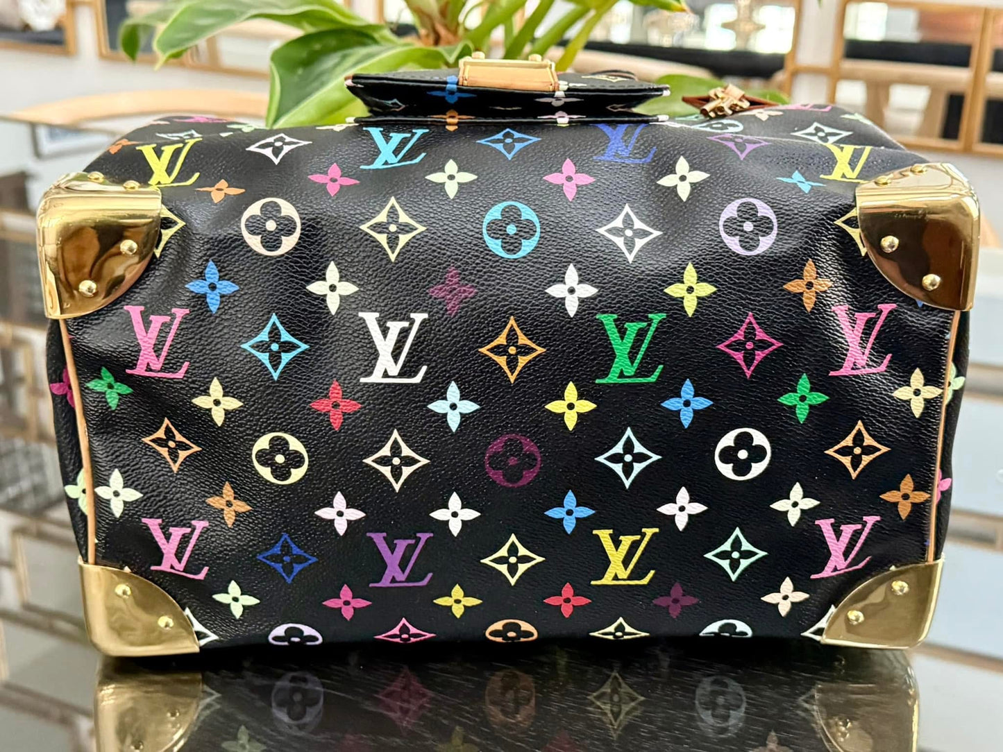 Multicolor Speedy 30 with Dustbag and generic twilly set 📅 Year: 2008