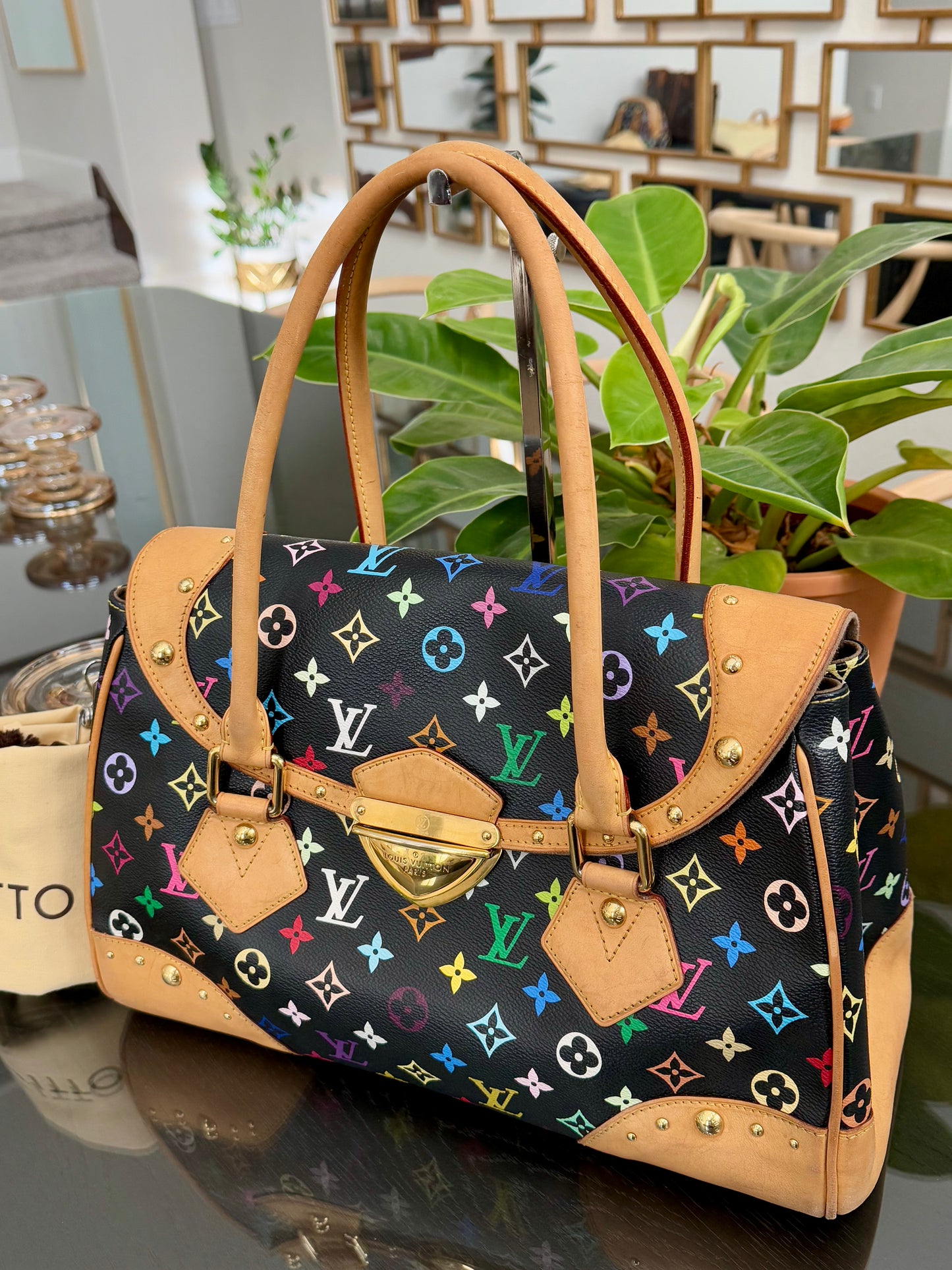 Multicolor Beverly GM with Dustbag 📅 Year: 2000