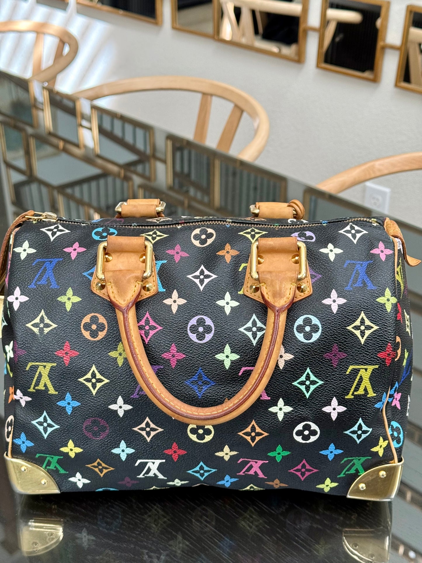 Multicolor Speedy 30 with Dustbag, Insert Organizer and twilly set 📅 Year: 2008