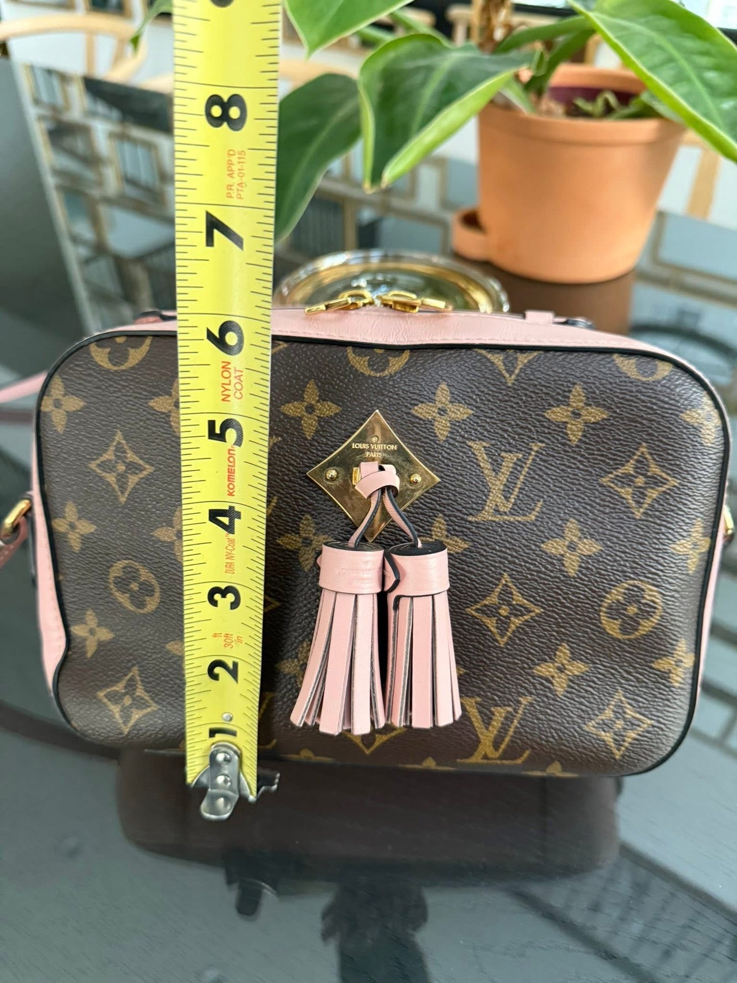 Saintonge Monogram Crossbody with Dustbag 🗓️ Year: 2019