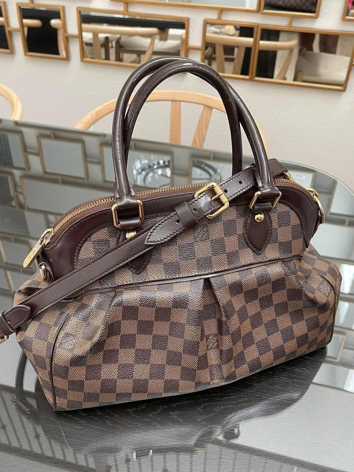 Trevi PM with Dustbag & Receipt - 📅 Year: 2008