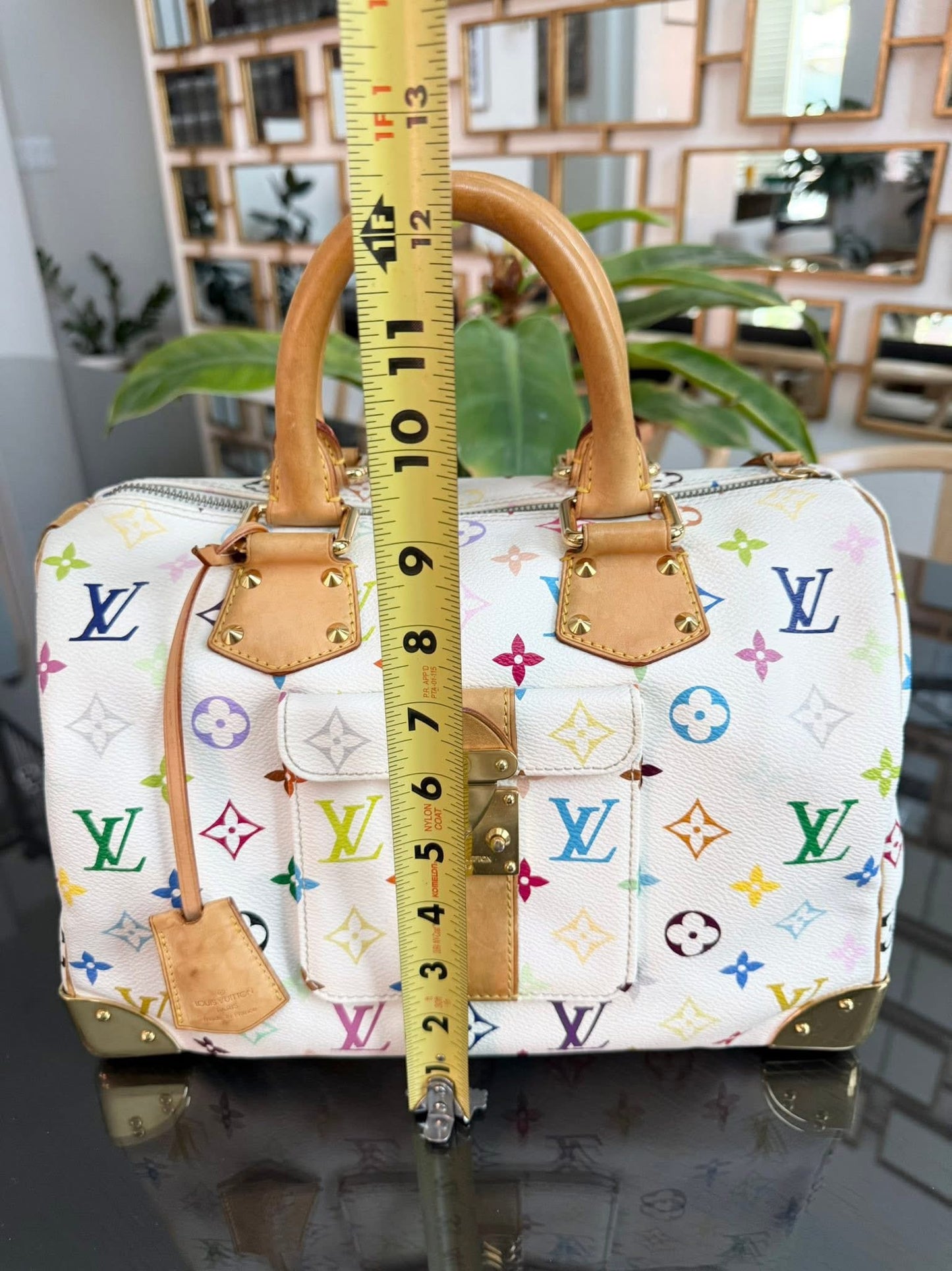 Multicolor Speedy 30 with Dustbag, Insert Organizer and generic twilly set 📅 Year: 2005