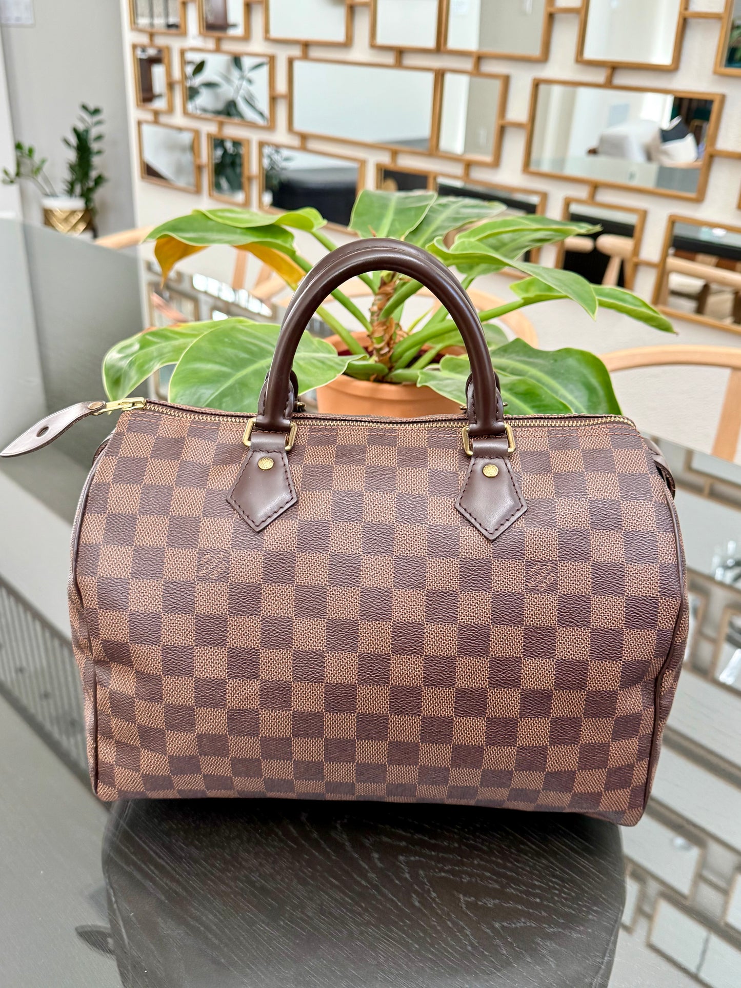 Speedy 30 in DE with 🔐 lock, Key and Dustbag -🗓️ Year: 2017