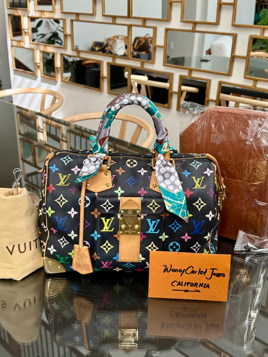 Multicolor Speedy 30 with Dustbag, Insert Organizer and twilly set 📅 Year: 2008