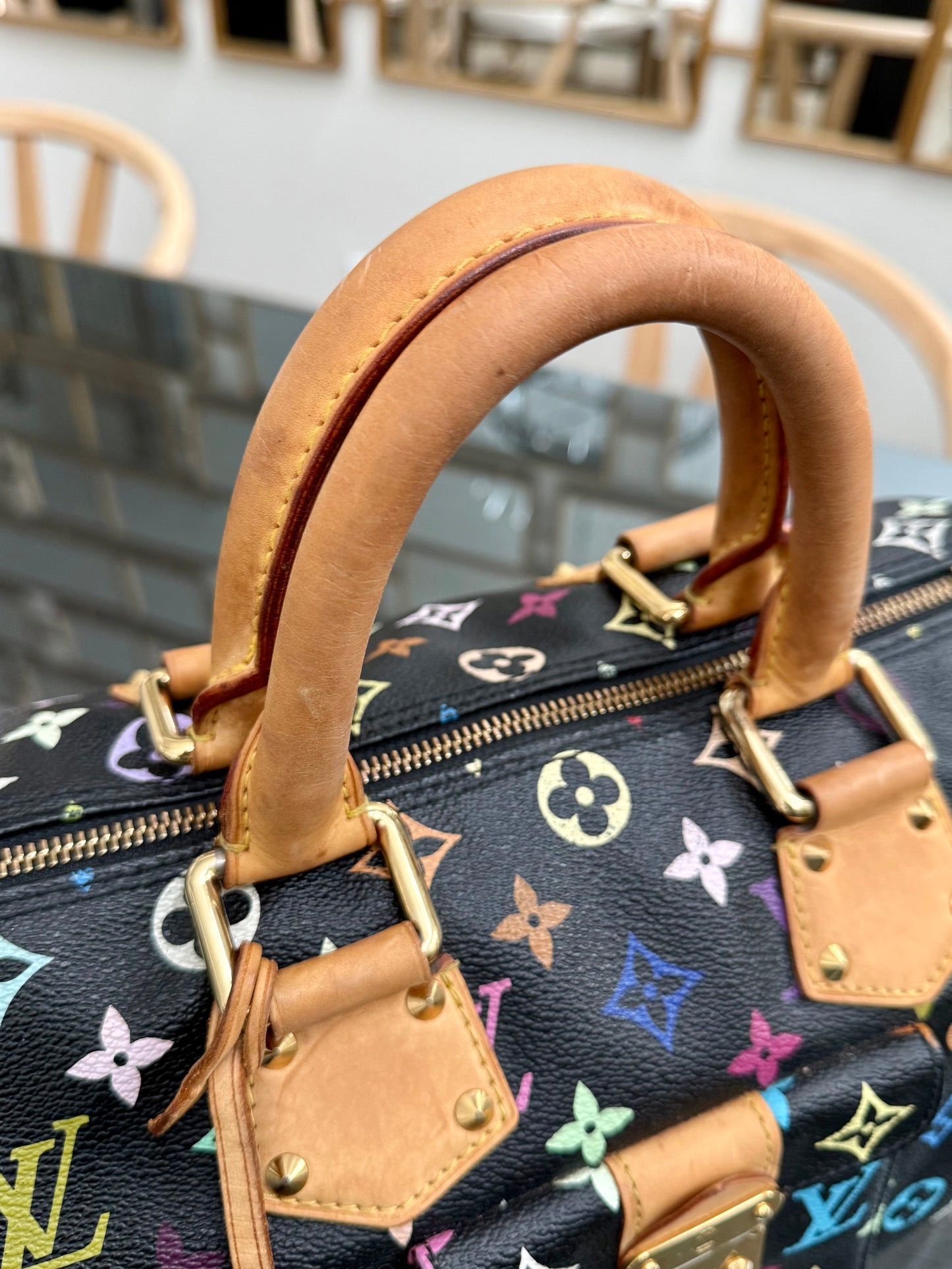 Multicolor Speedy 30 with Dustbag, Insert Organizer and twilly set 📅 Year: 2008