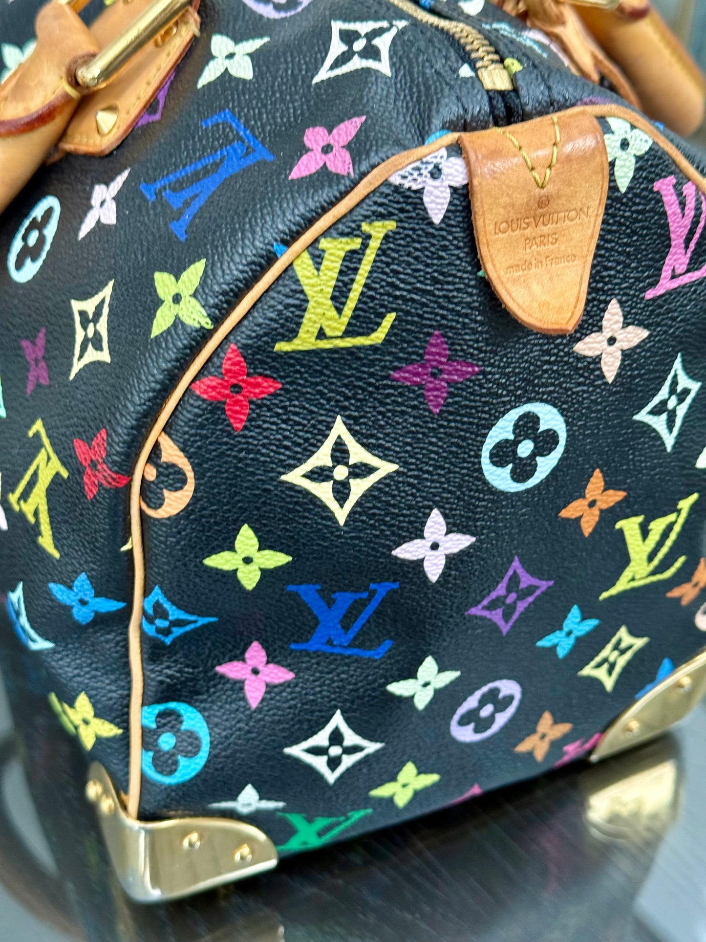 Multicolor Speedy 30 with Dustbag, Insert Organizer and twilly set 📅 Year: 2008